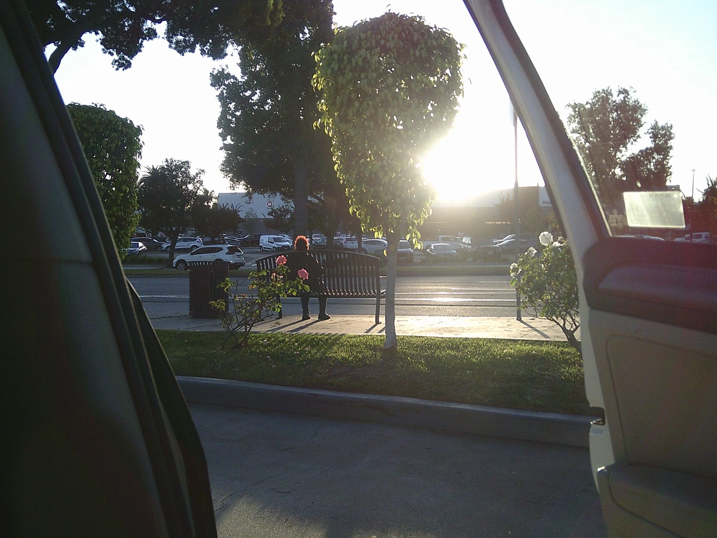 View through a car window showing a park with benches, trees, and parked cars, during sunset.