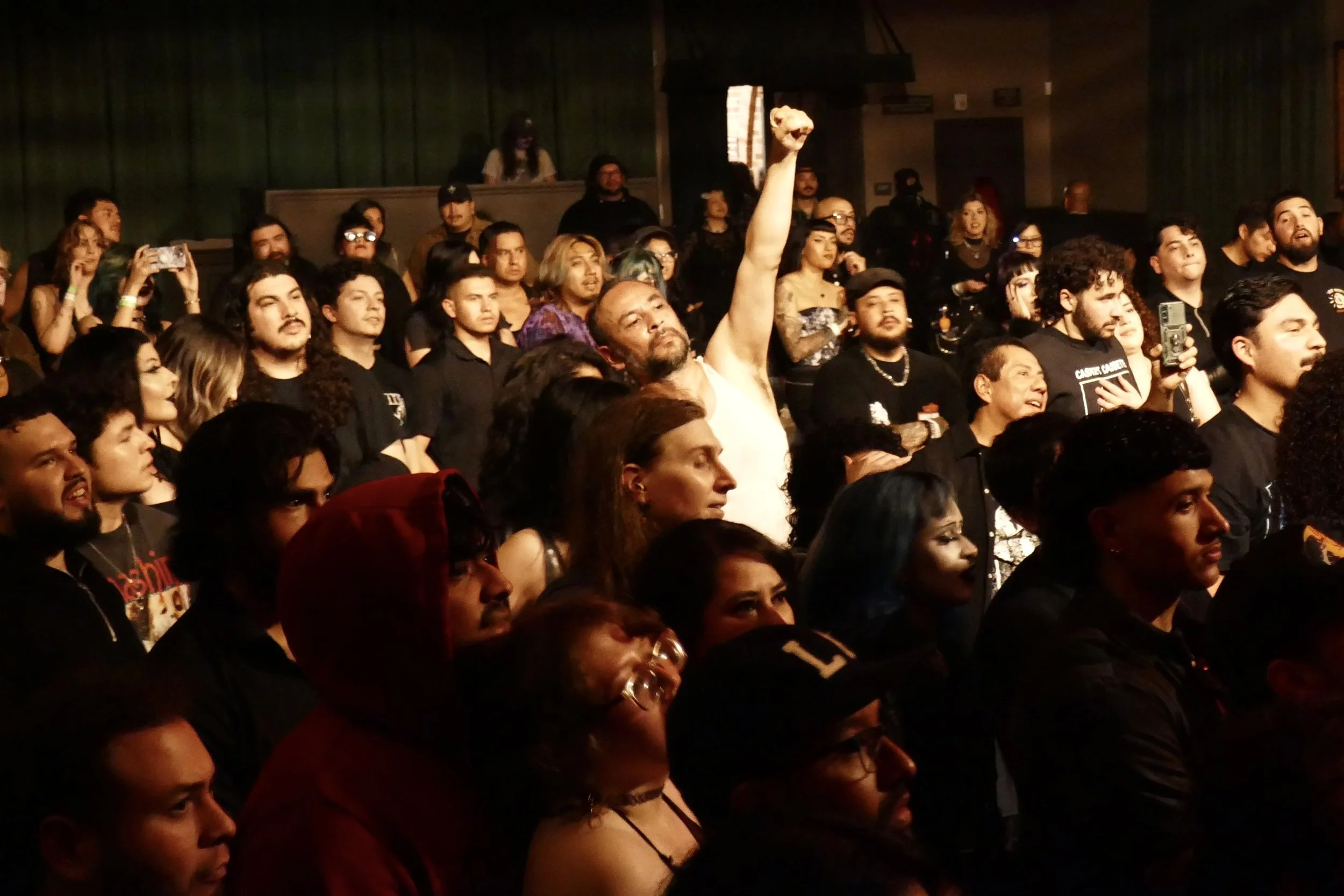 A crowded concert or event with diverse people, some holding up phones and one person raising an arm with a clenched fist.