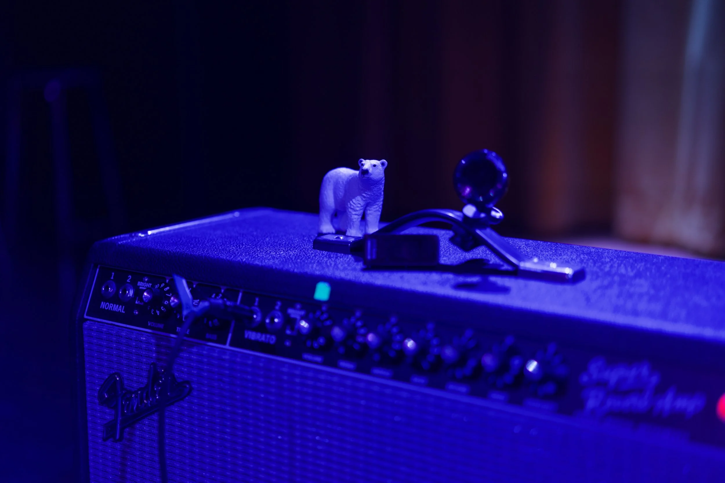 Close-up of a miniature white bear figurine on top of a guitar amplifier in a dark room illuminated by purple and blue lights.