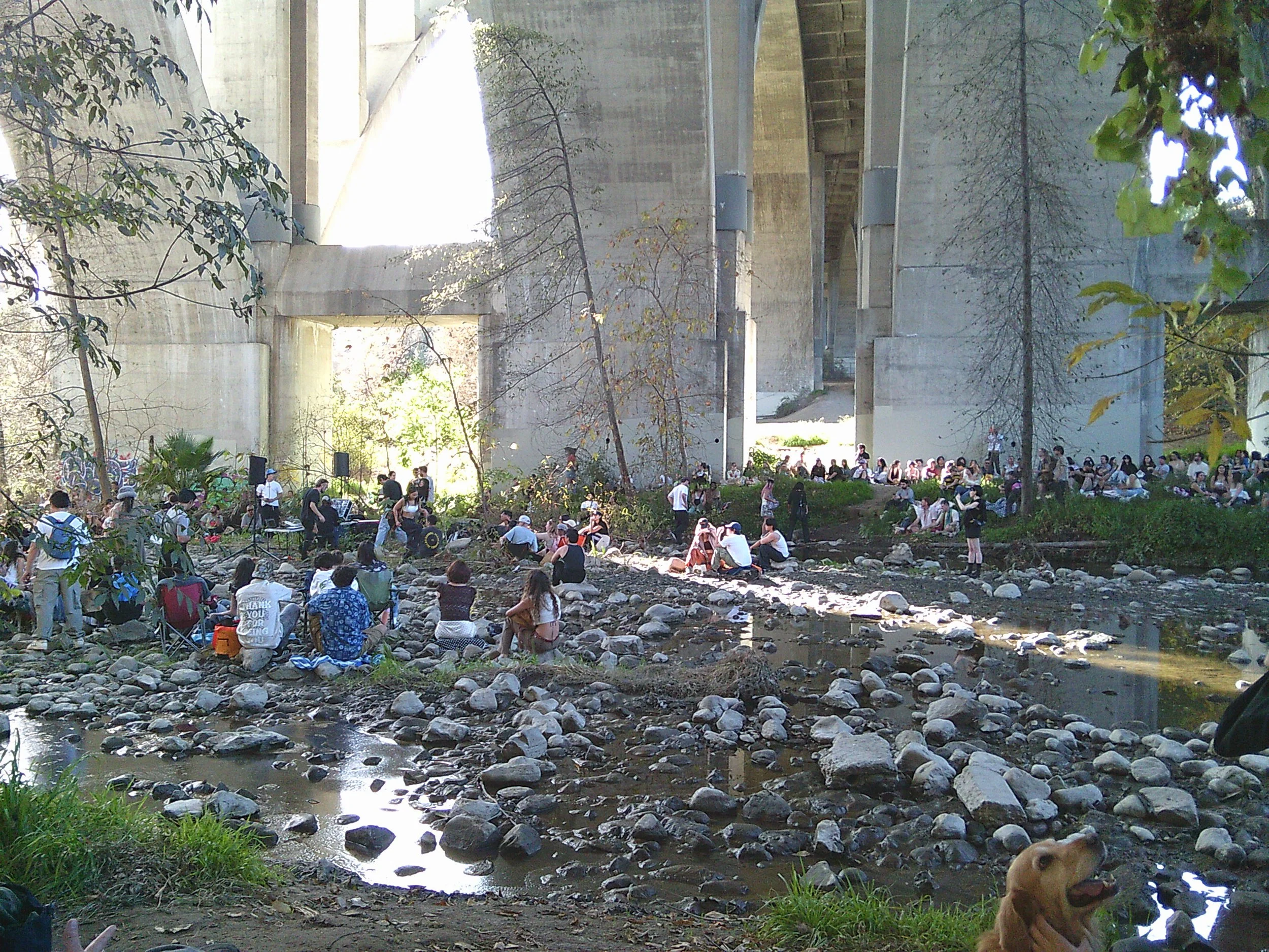 People gathered by a river or creek with a large bridge-like structure in the background, trees, and a rabbit in the foreground.