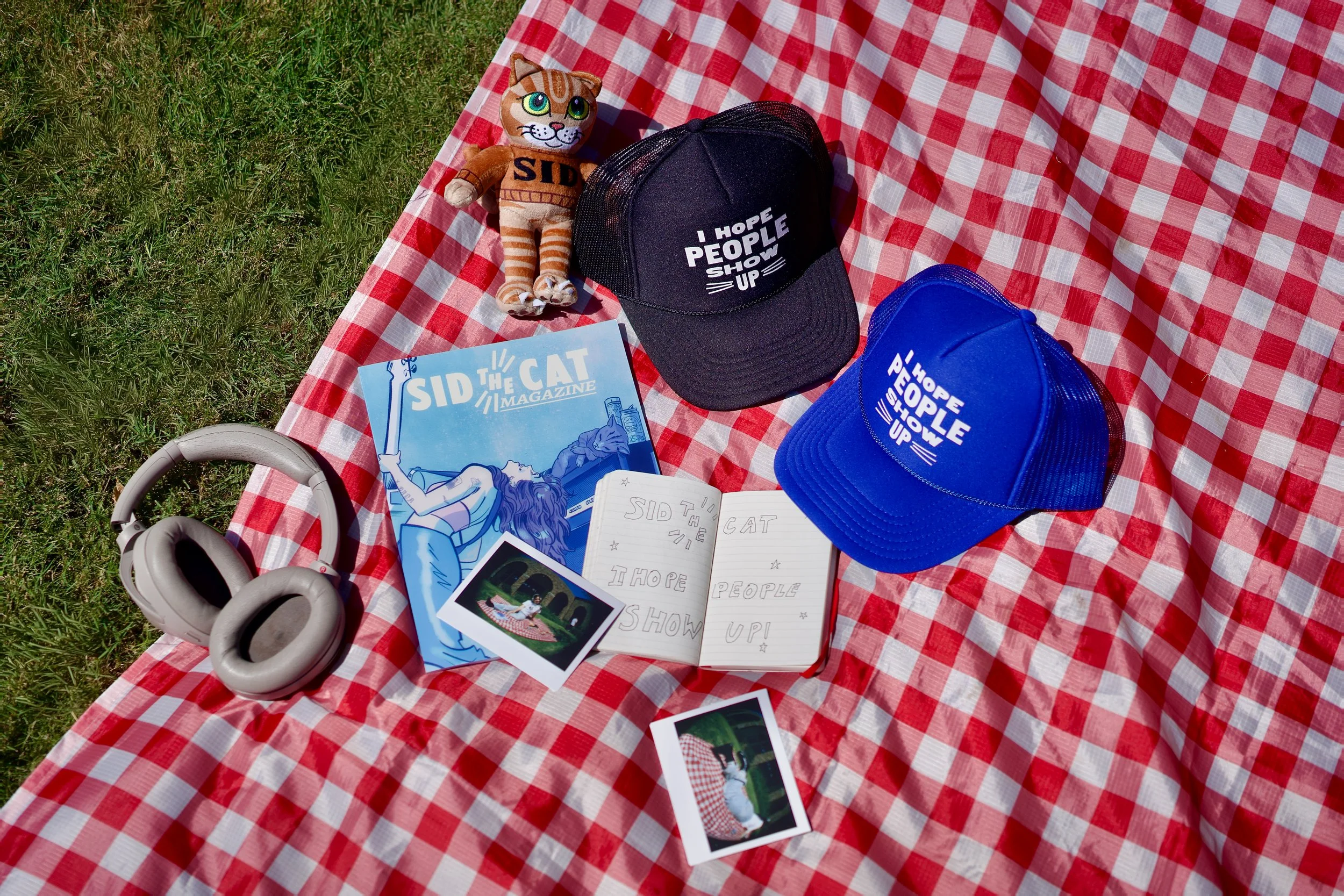 A red and white checkered picnic blanket with a stuffed cat toy wearing a sports jersey, two baseball caps with slogans, a magazine, photographs, and a pair of headphones on grass.