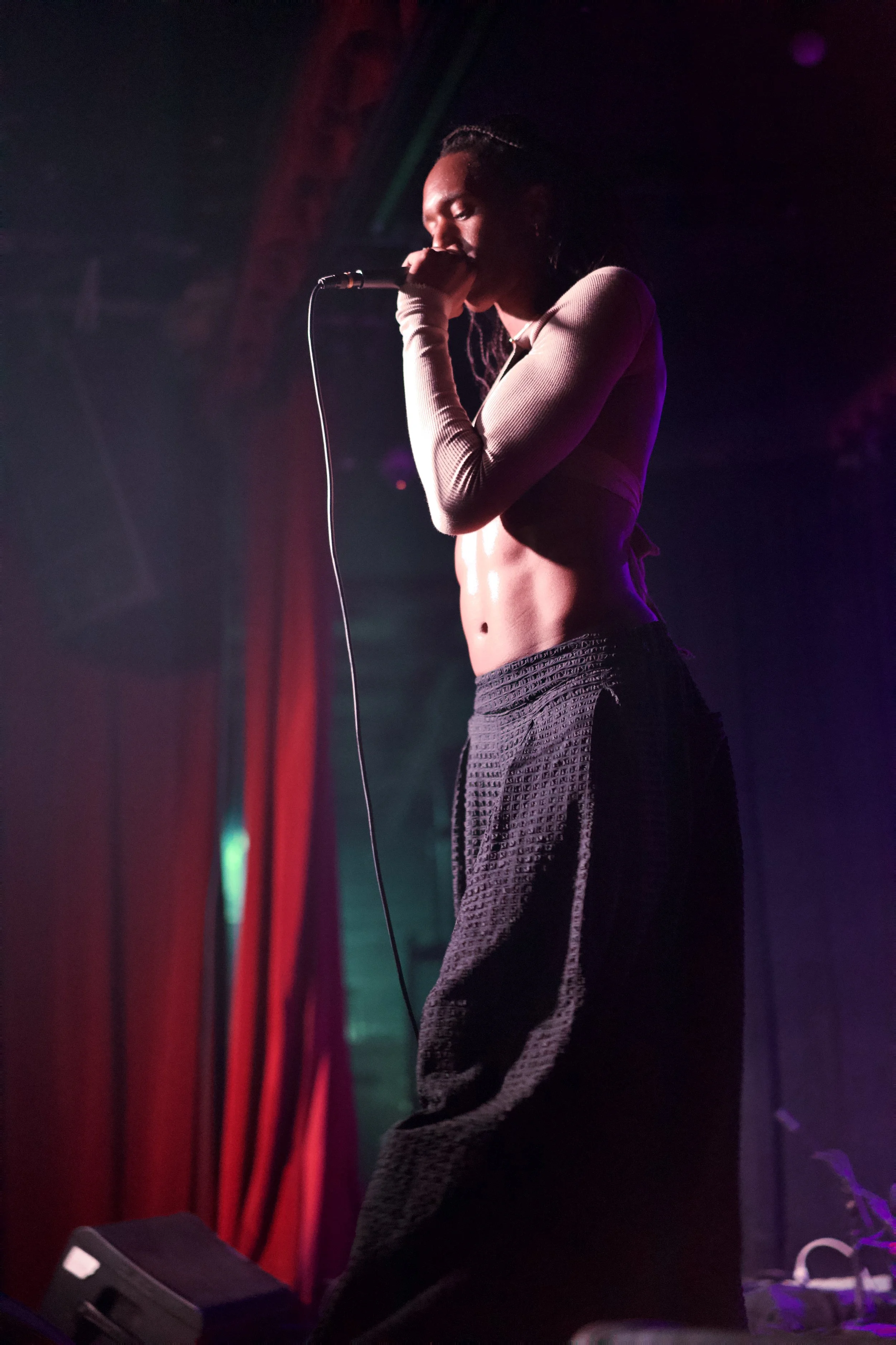 A woman with braided hair singing into a microphone on a dimly lit stage with purple and red lighting.