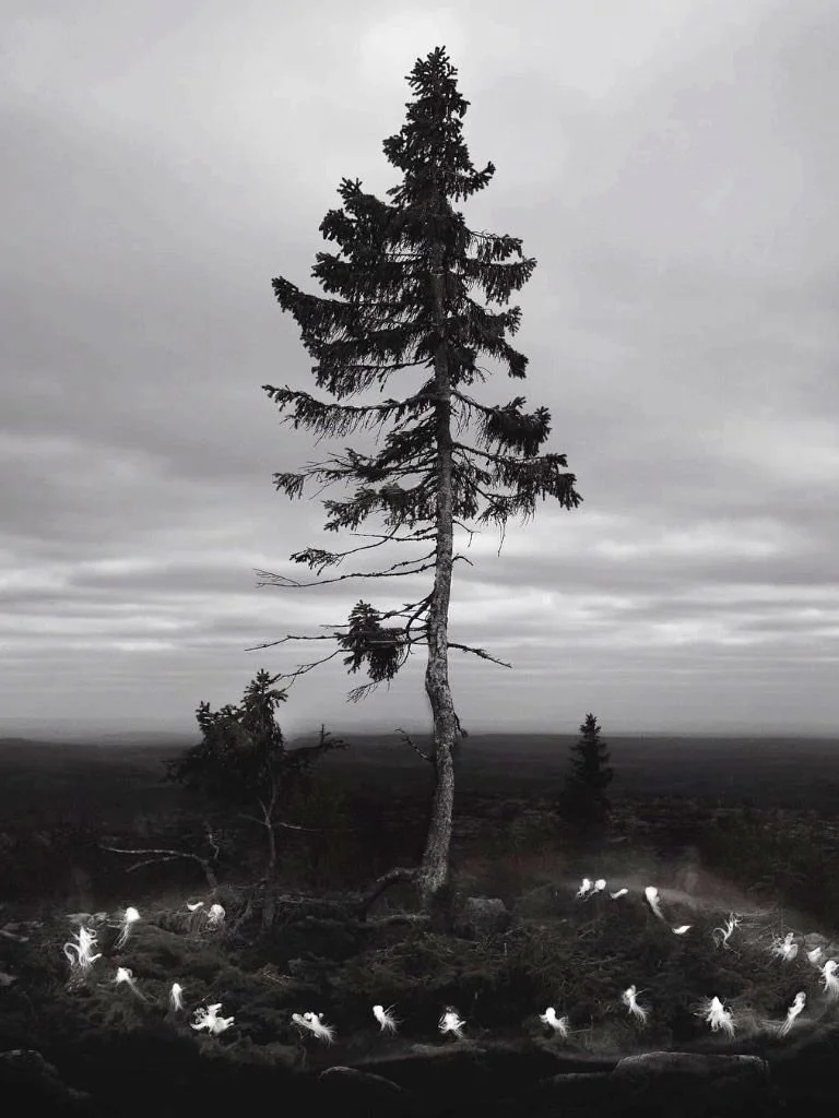 _ the pure and the damned