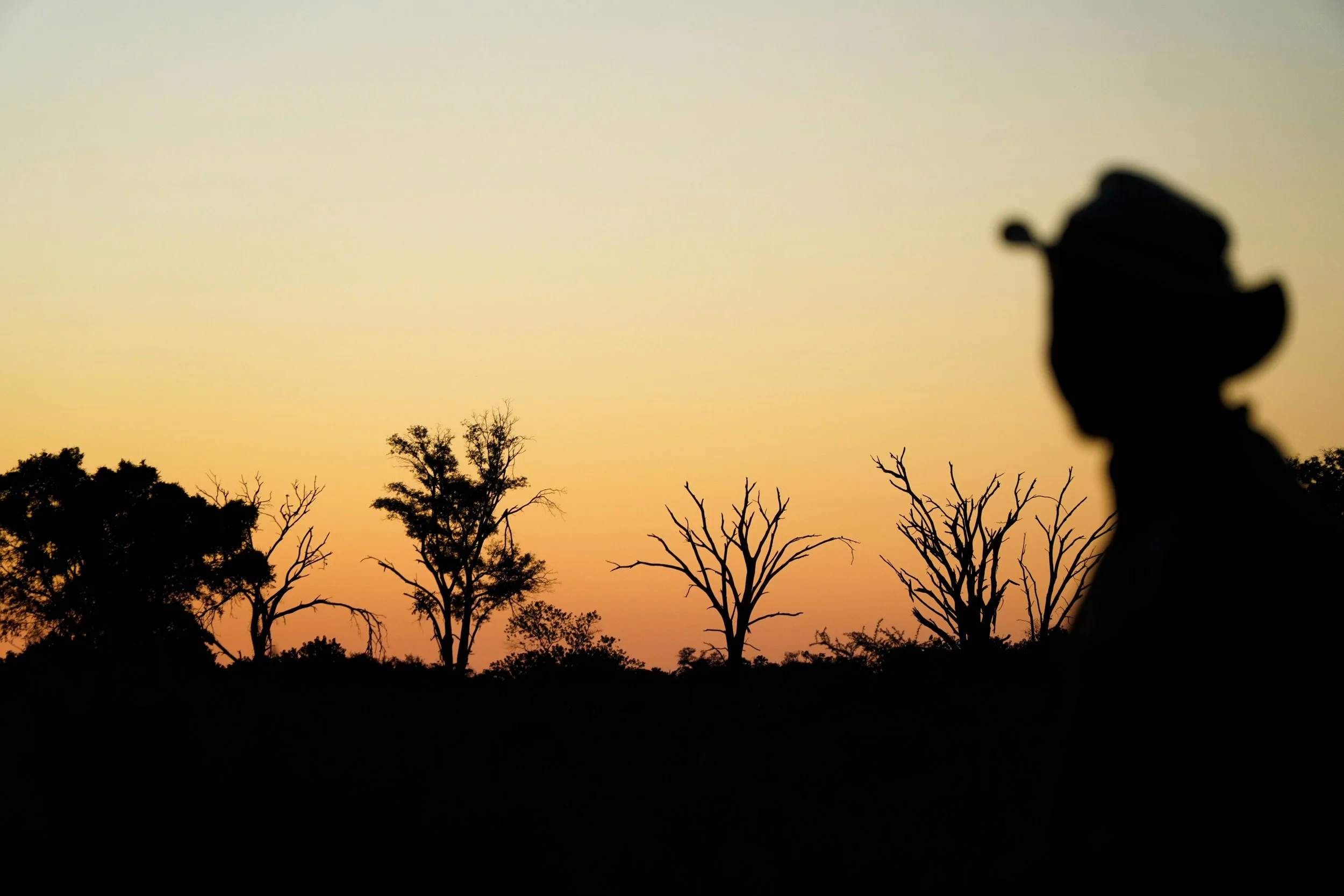 When Talking Isn't Enough: The Neuroscience of Hypnosis for Trauma