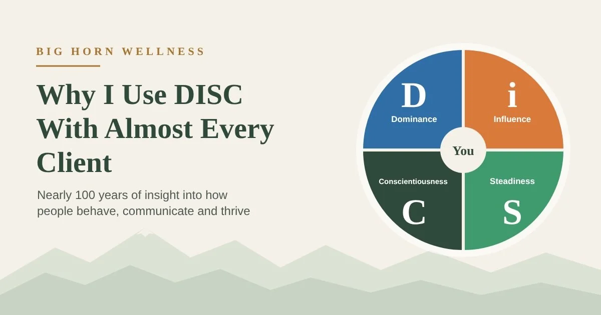 Why I use DISC with almost every client and student