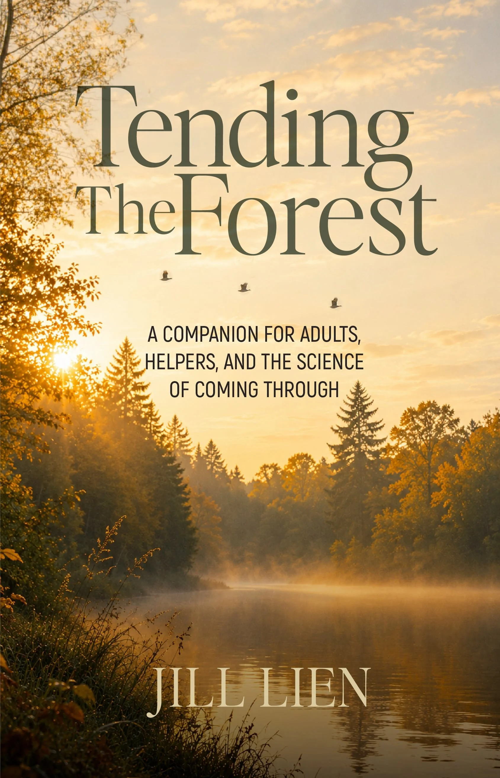 Book cover for Tending the Forest by Jill Lien — a misty forest river at golden sunrise with three birds in flight, companion volume to The Quiet Birds.