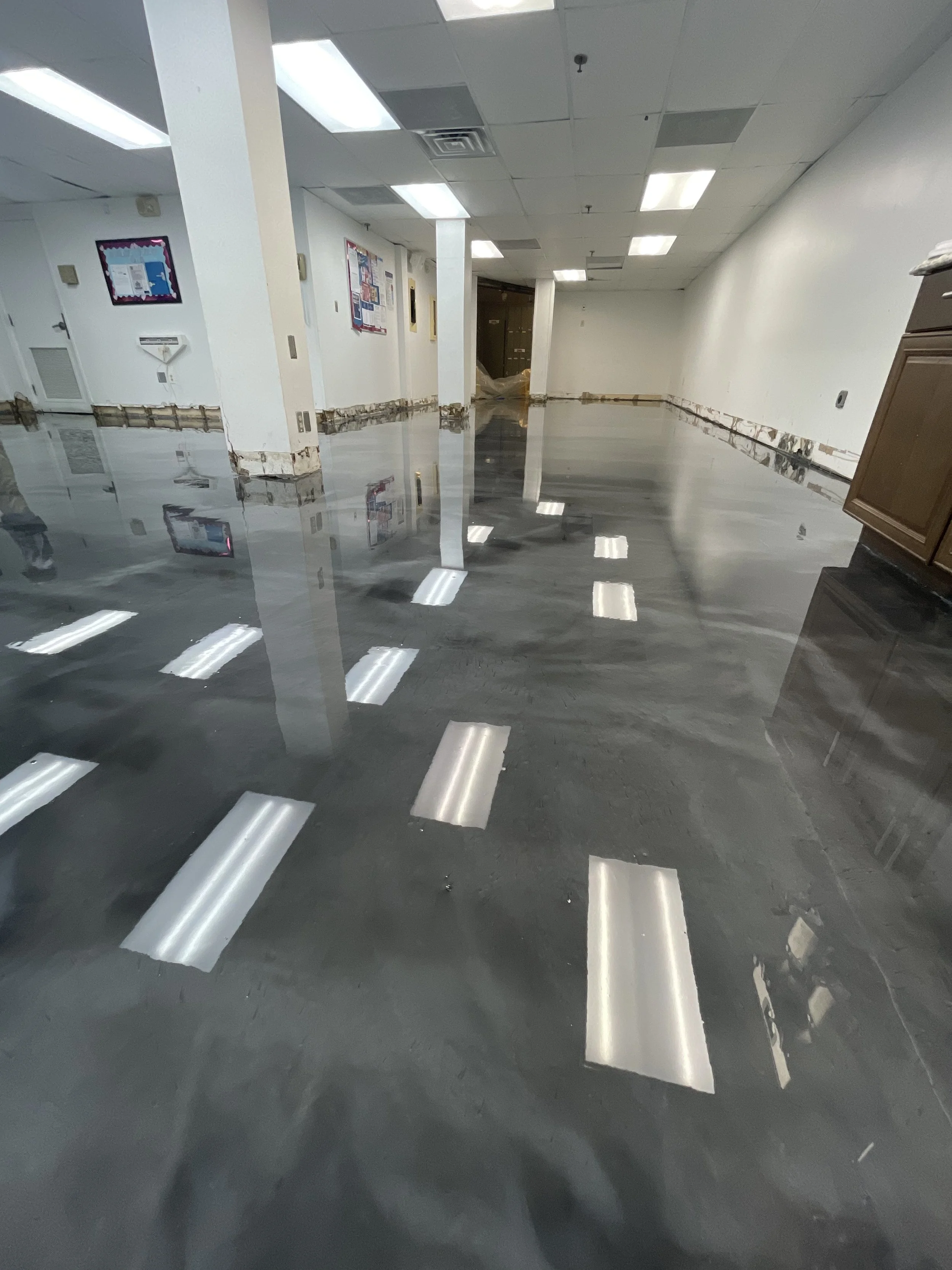 Smoke Gray Metallic Gloss