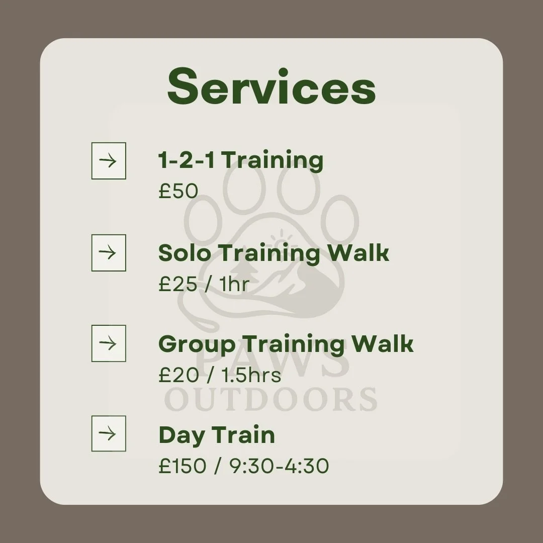 Updated Services List!

Paws Outdoors is now offering:

&bull; 1-2-1 training
&bull; Solo training walks
&bull; Group training walks
&bull; Day trains

Interested? Email me at pawsoutdoors.ella@gmail.com 📩