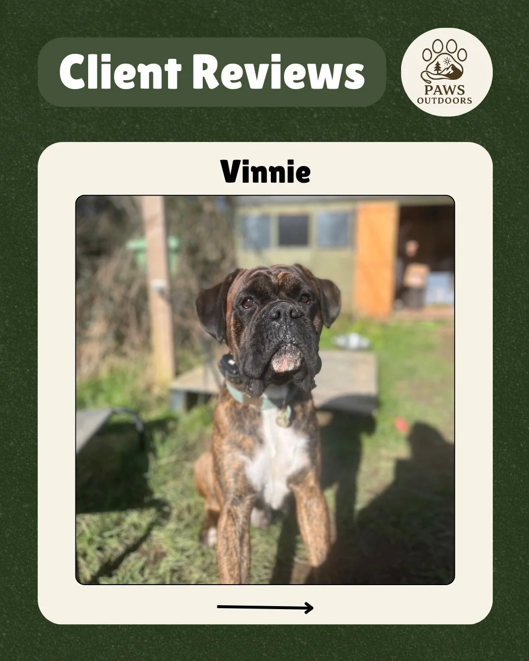 A lovely review from Vinnie&rsquo;s owner! 

I adore Vinnie and am so proud of the wonderful dog he&rsquo;s grown into. He truly is the best boy 💚