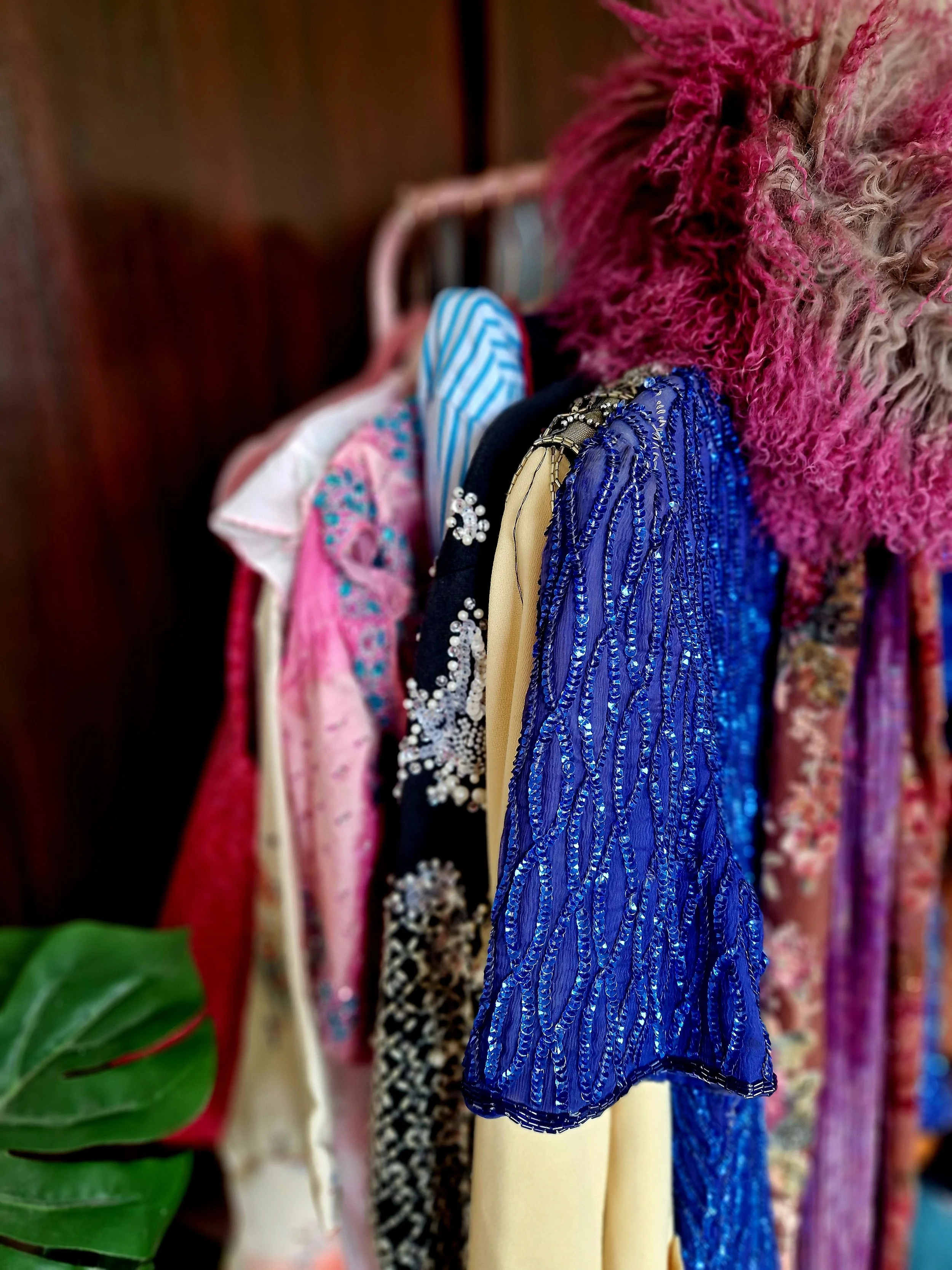 Colorful dresses hanging on a rack, with a green plant visible in the foreground.