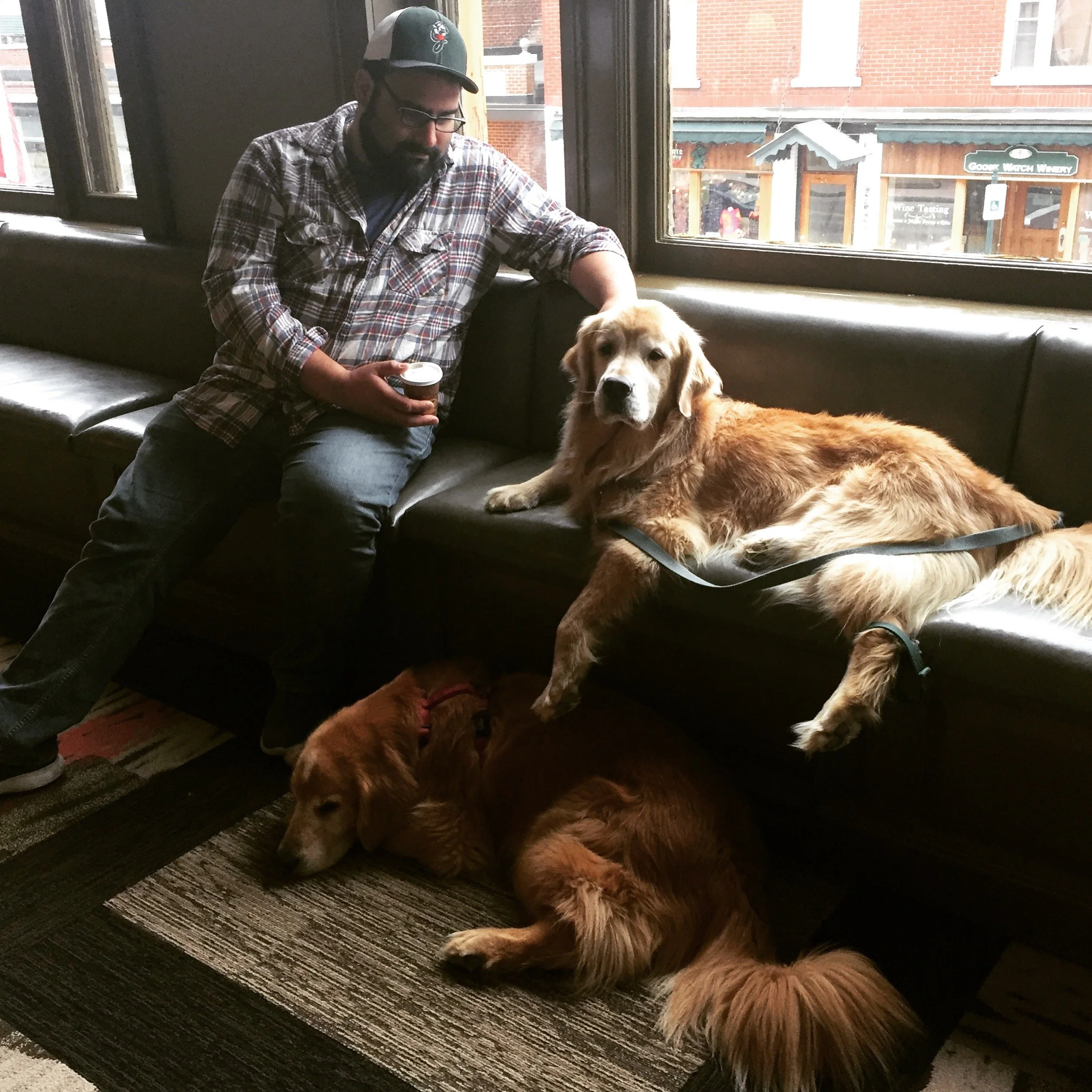 A picture of me, sitting on a bench with my dog, Modi, laying beside me and my dog, Thor, laying on the ground beneath us.