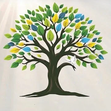 Evergreen Living, Arizona