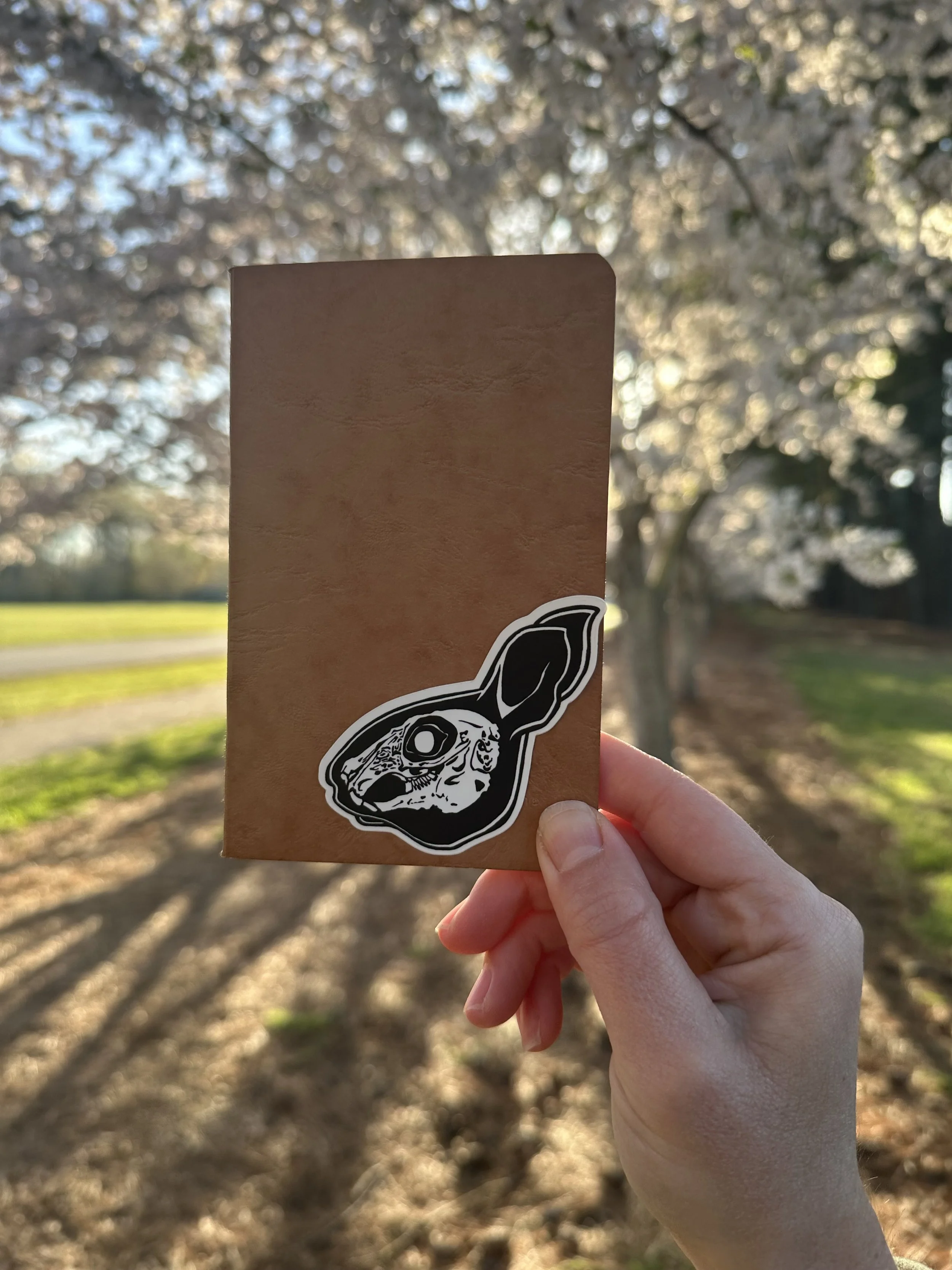 Eco Goth Rabbit Skull Water Resistant Vinyl Sticker