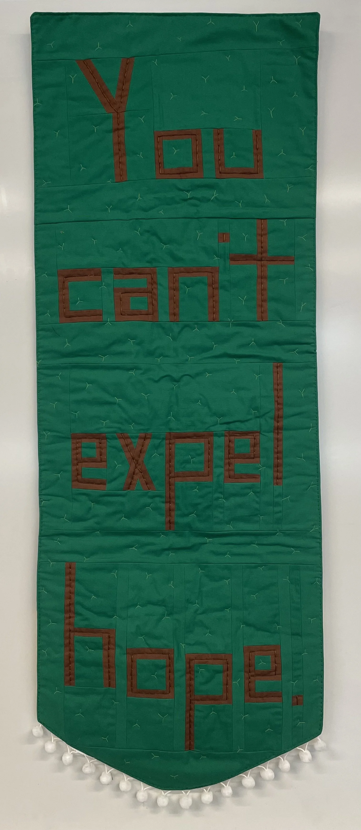 You Can't Expel Hope
2026
Cotton fabric and batting, polyester thread, pom-pom trim

Tennessee House Rep. Justin Pearson said these words in 2023 in response to being expelled from the House after supporting gun control protestors. The protest was in