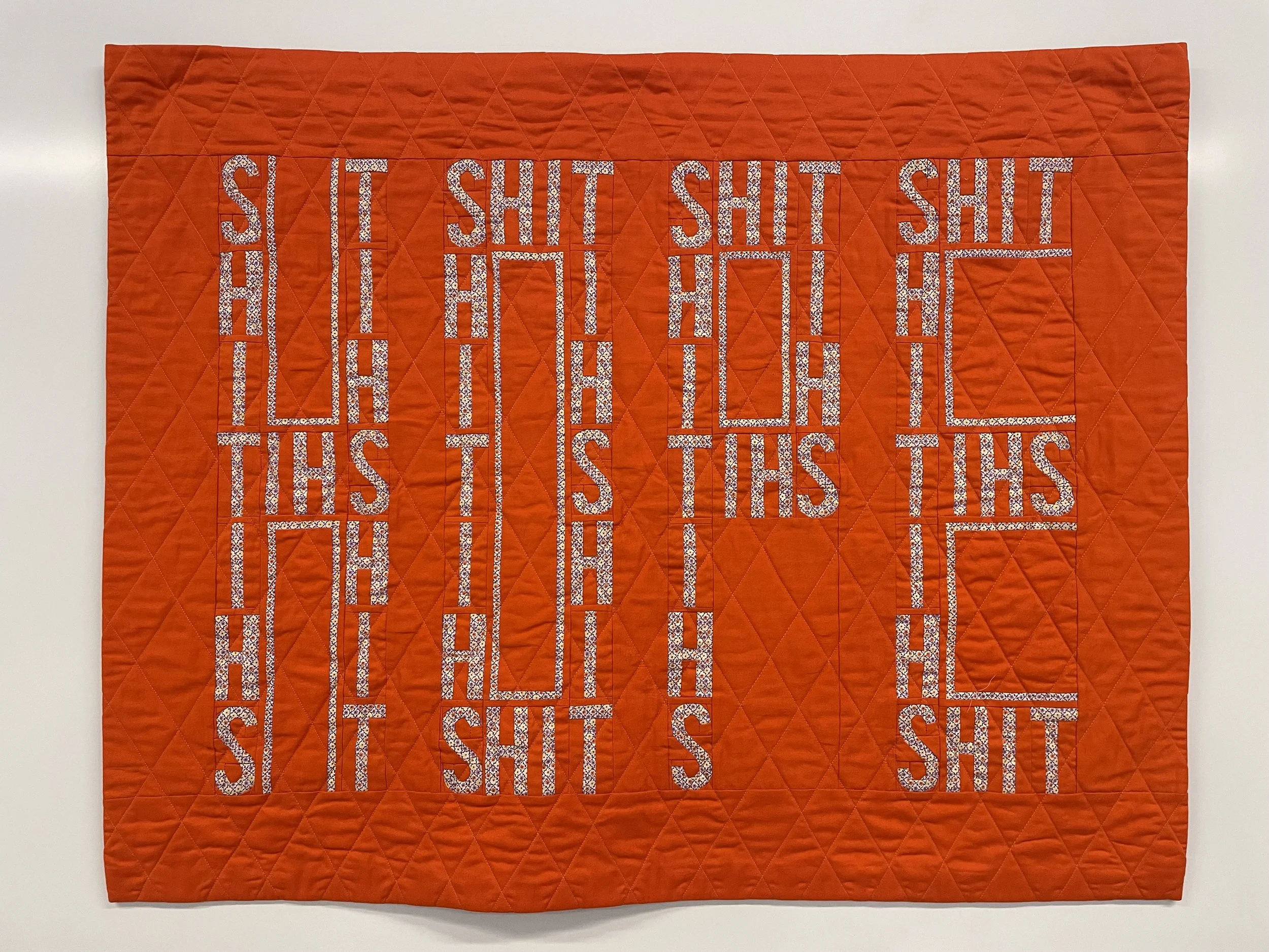 Hope/Shit
2024
Cotton fabric and batting, polyester thread
37" x 29.5"
Hung in Sticking Together at Artlink, 2025

Often in life, the terrible happens. Events and circumstances are bad and everything is just shit. Yet against the odds, hope somehow e