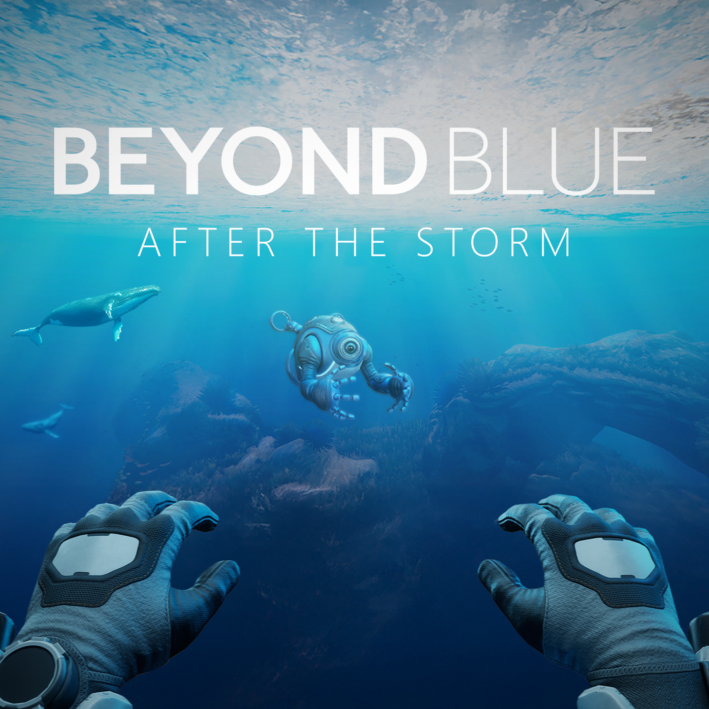 Beyond Blue: After the Storm