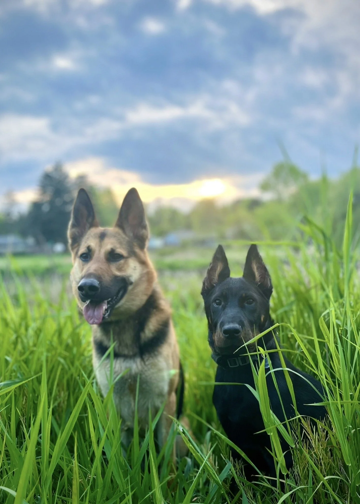 Custom training package