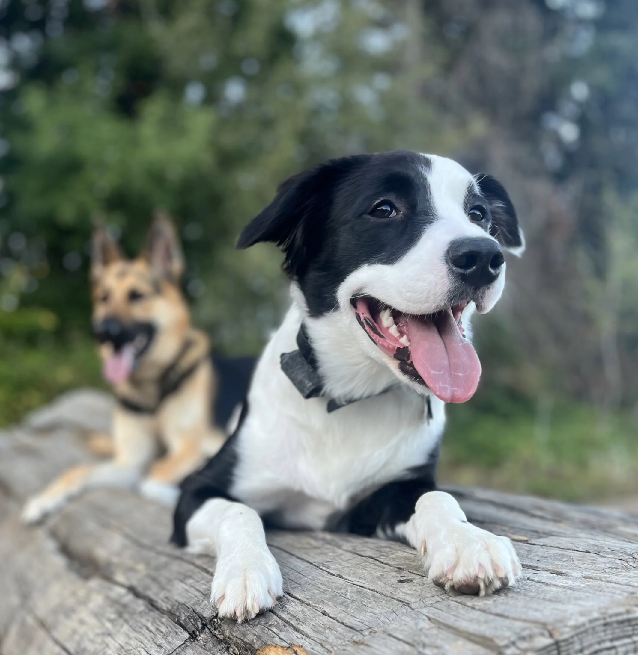 1 on 1 private lessons