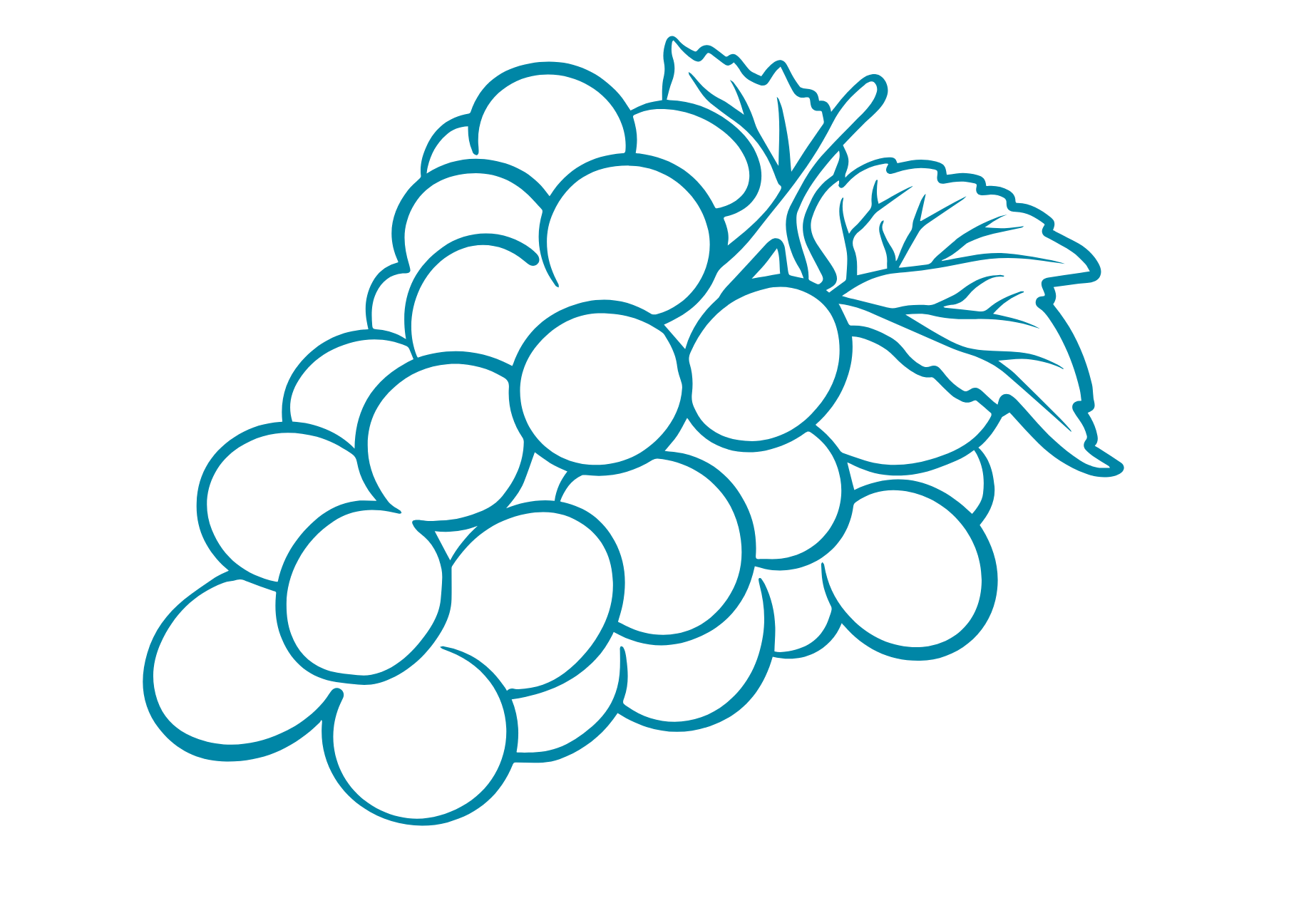 Illustration de grains de raisin avec deux feuilles
