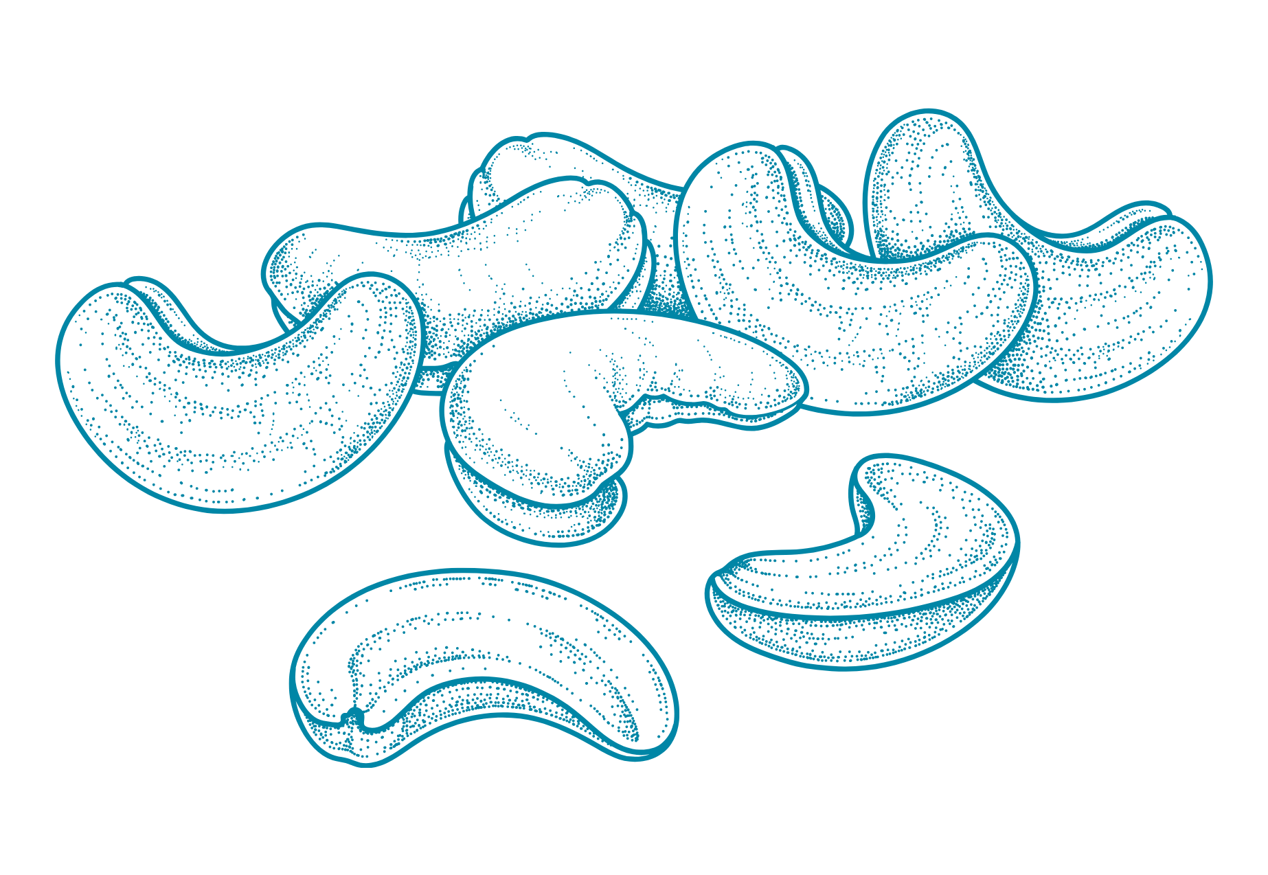 Illustration numérique de noix de cajou en points bleus sur fond noir.