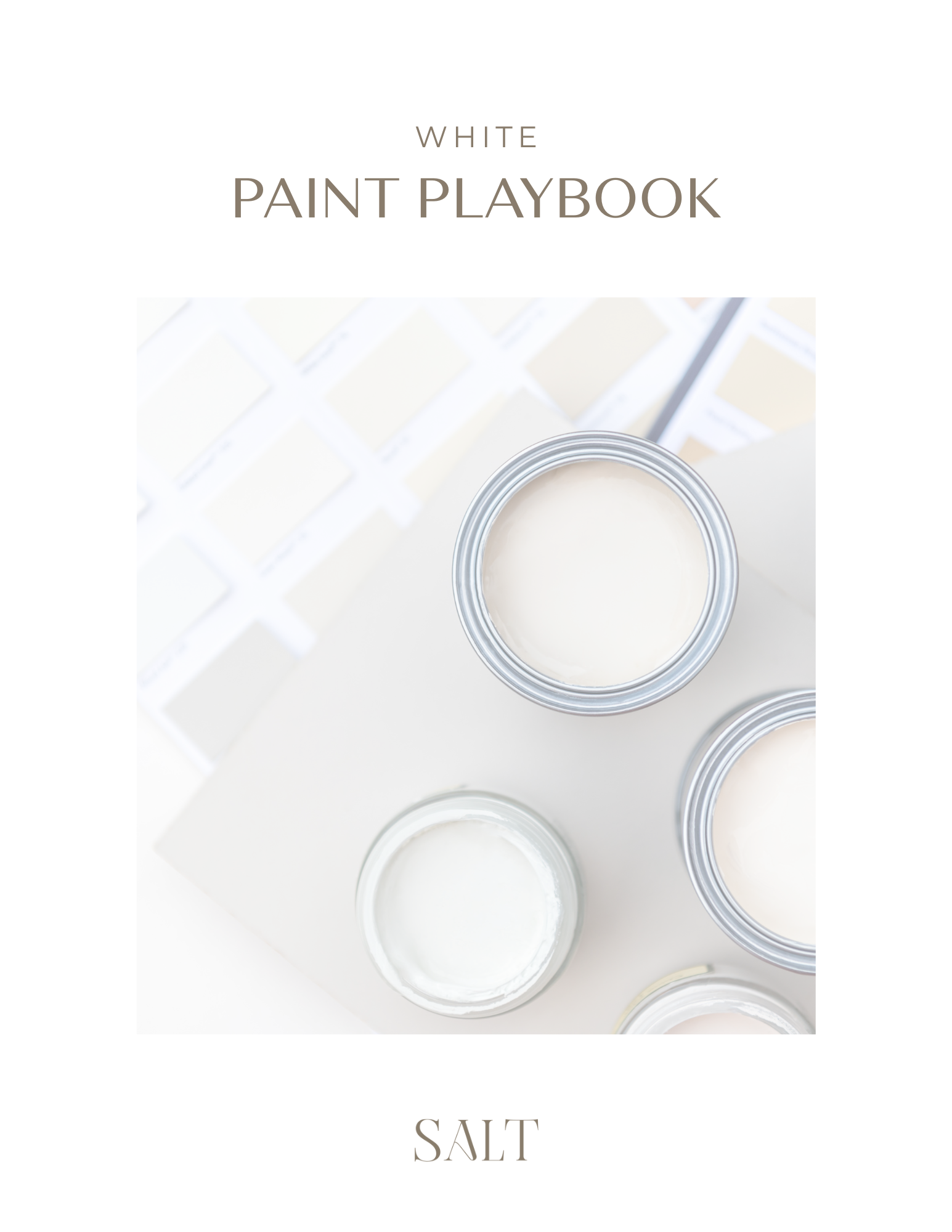 SALT+Paint+White+Image.webp