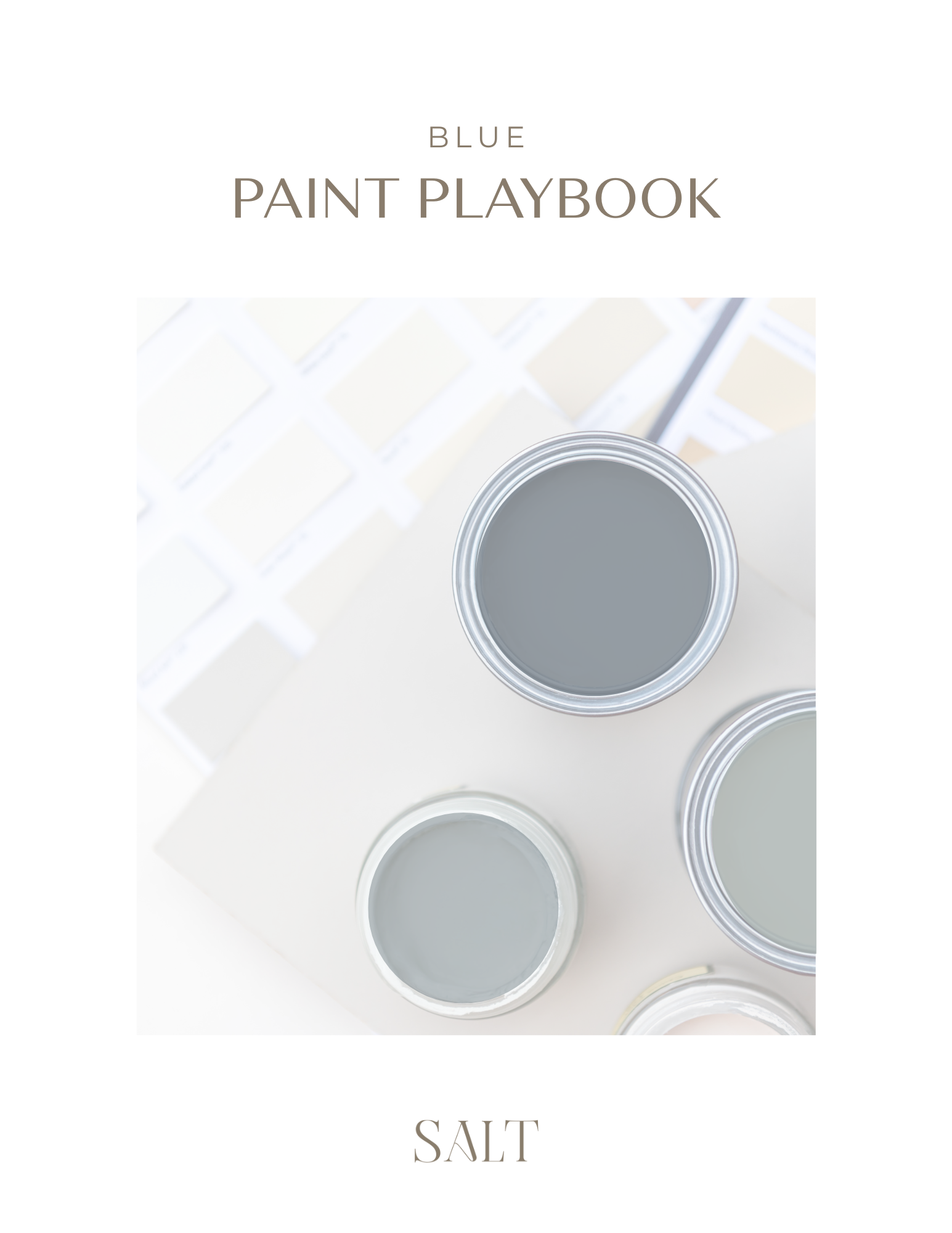Blue Paint Playbook