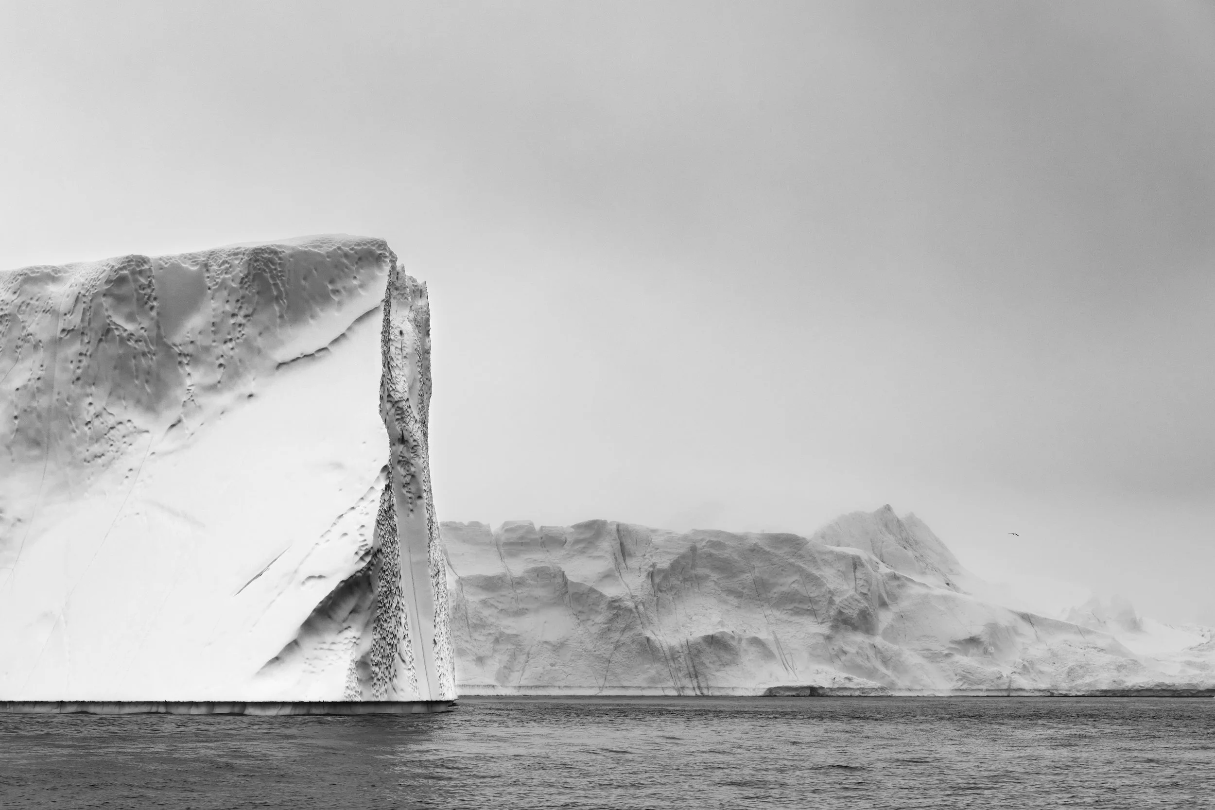 Disko Bay Study 2, 2022