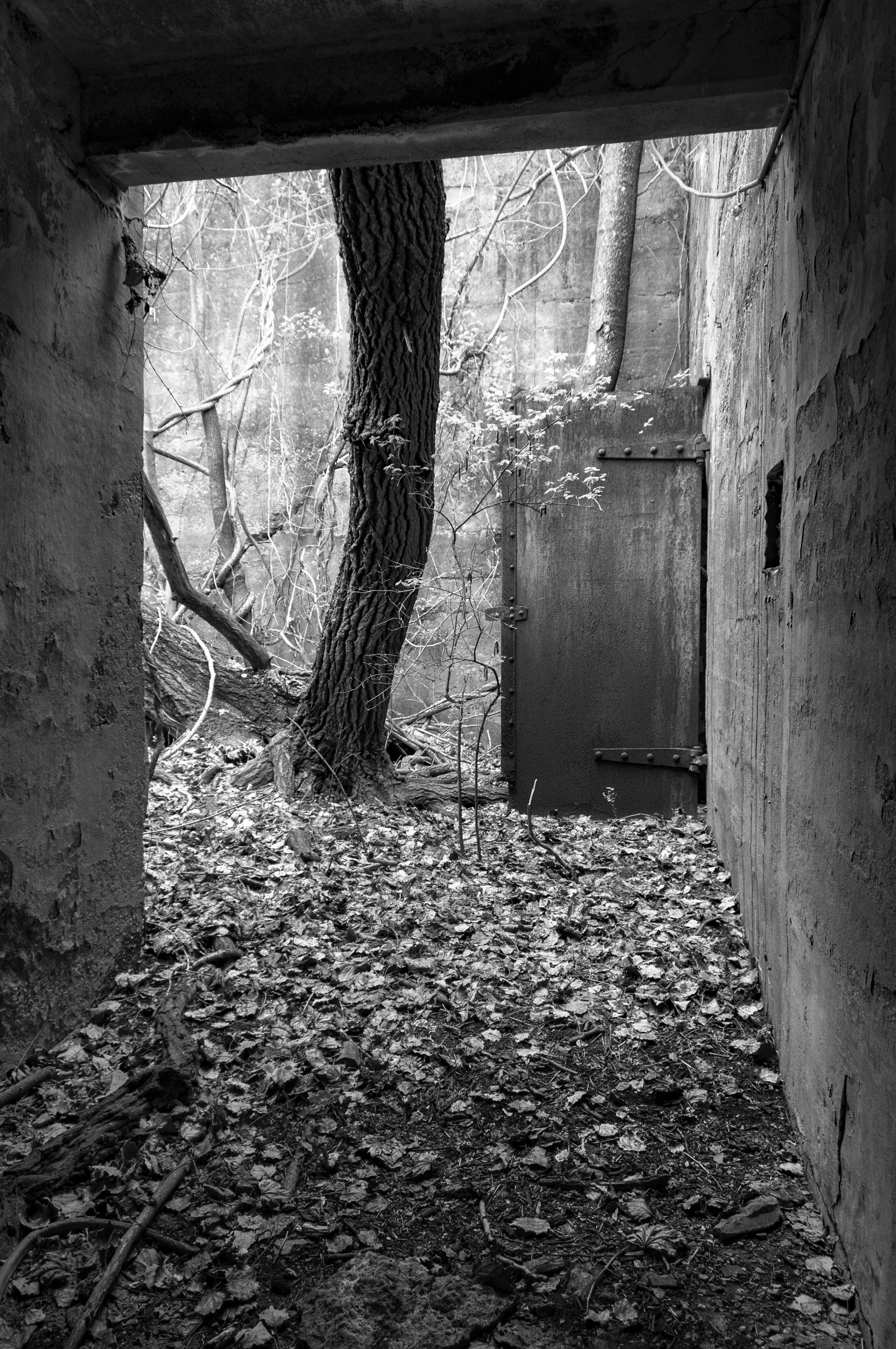 Courtyard Study 2, 2008