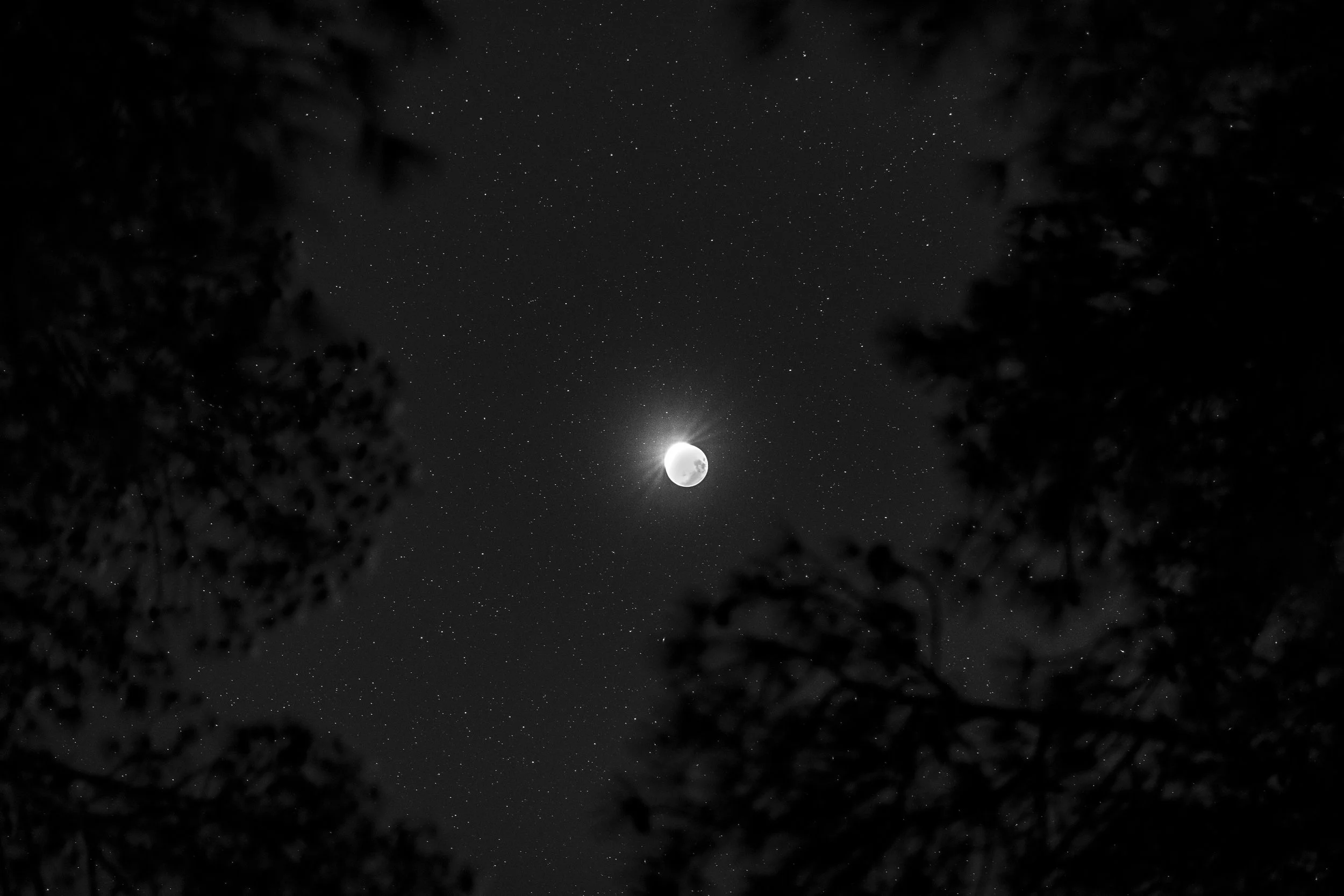 Lunar Eclipse, 2019