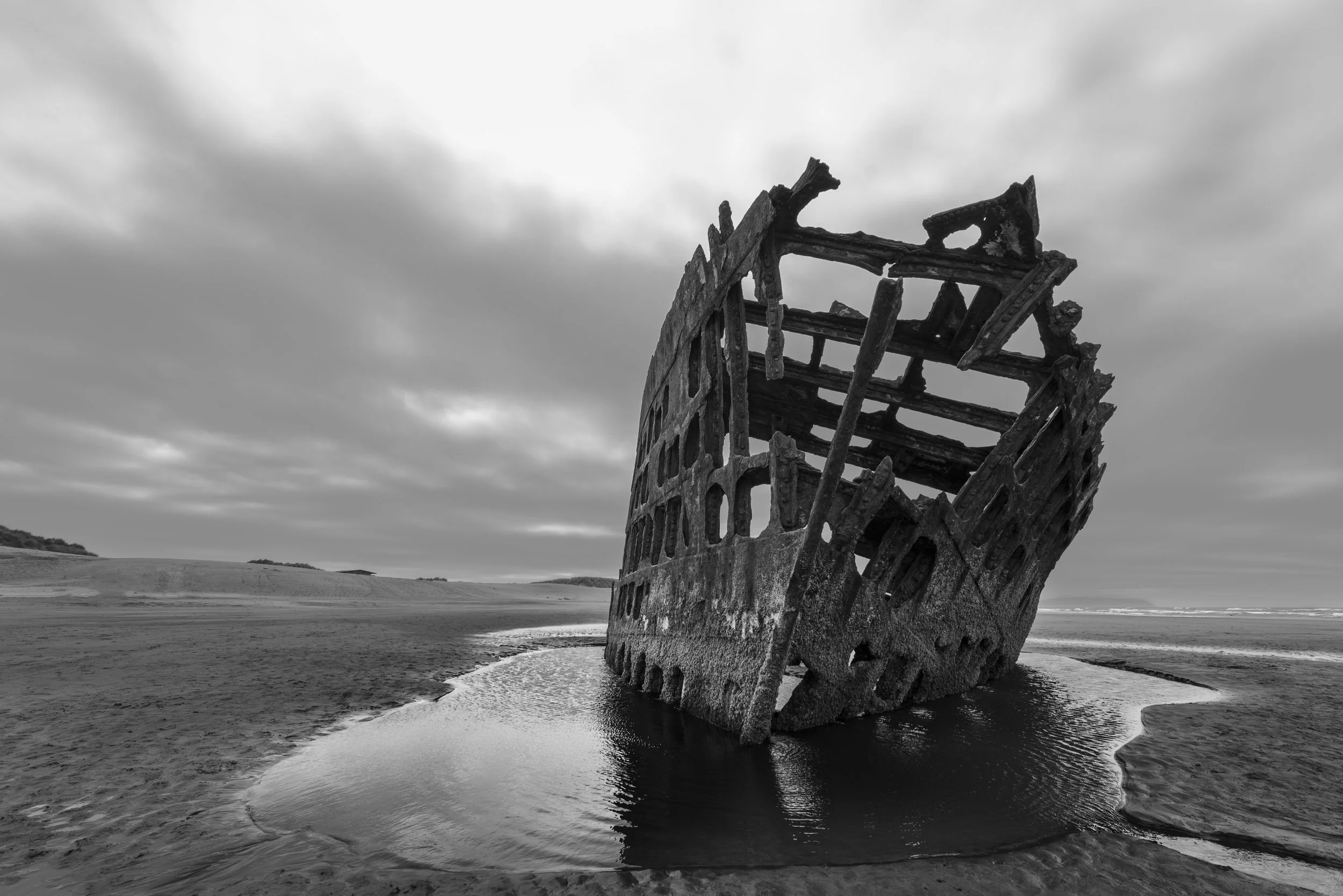 Peter Iredale Study 3, 2017