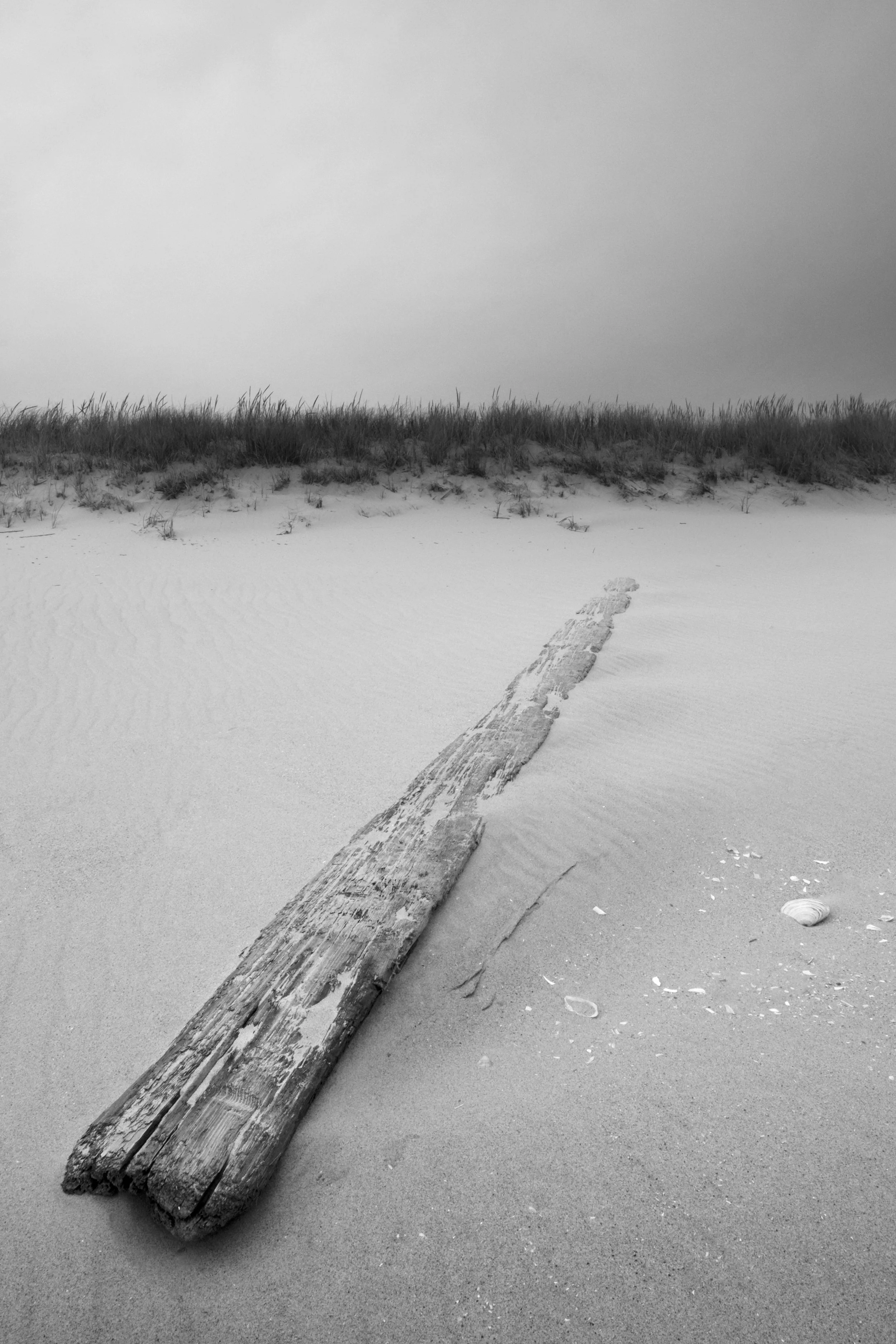 Wood and Sand, 2010