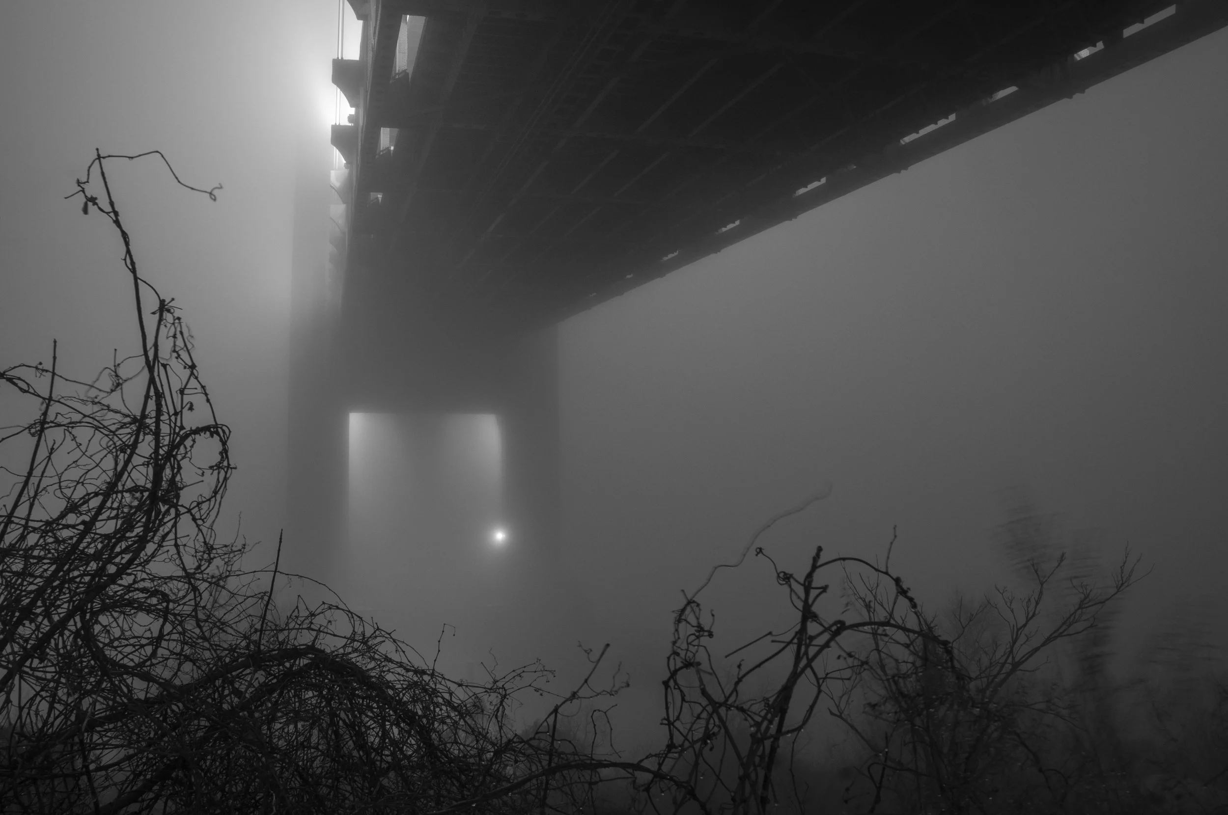Verrazzano in Fog, 2008