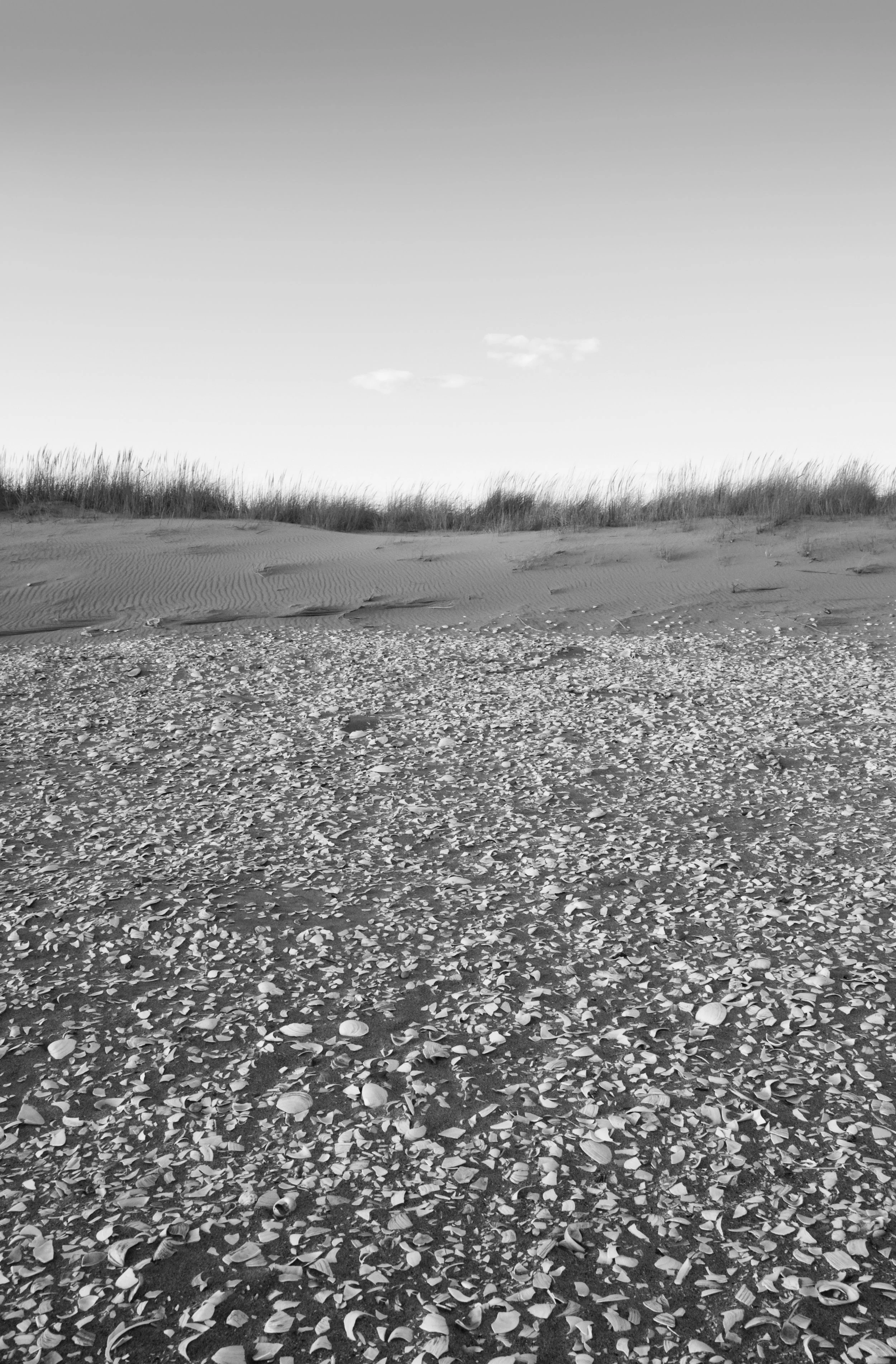 Eroding Dune, 2008