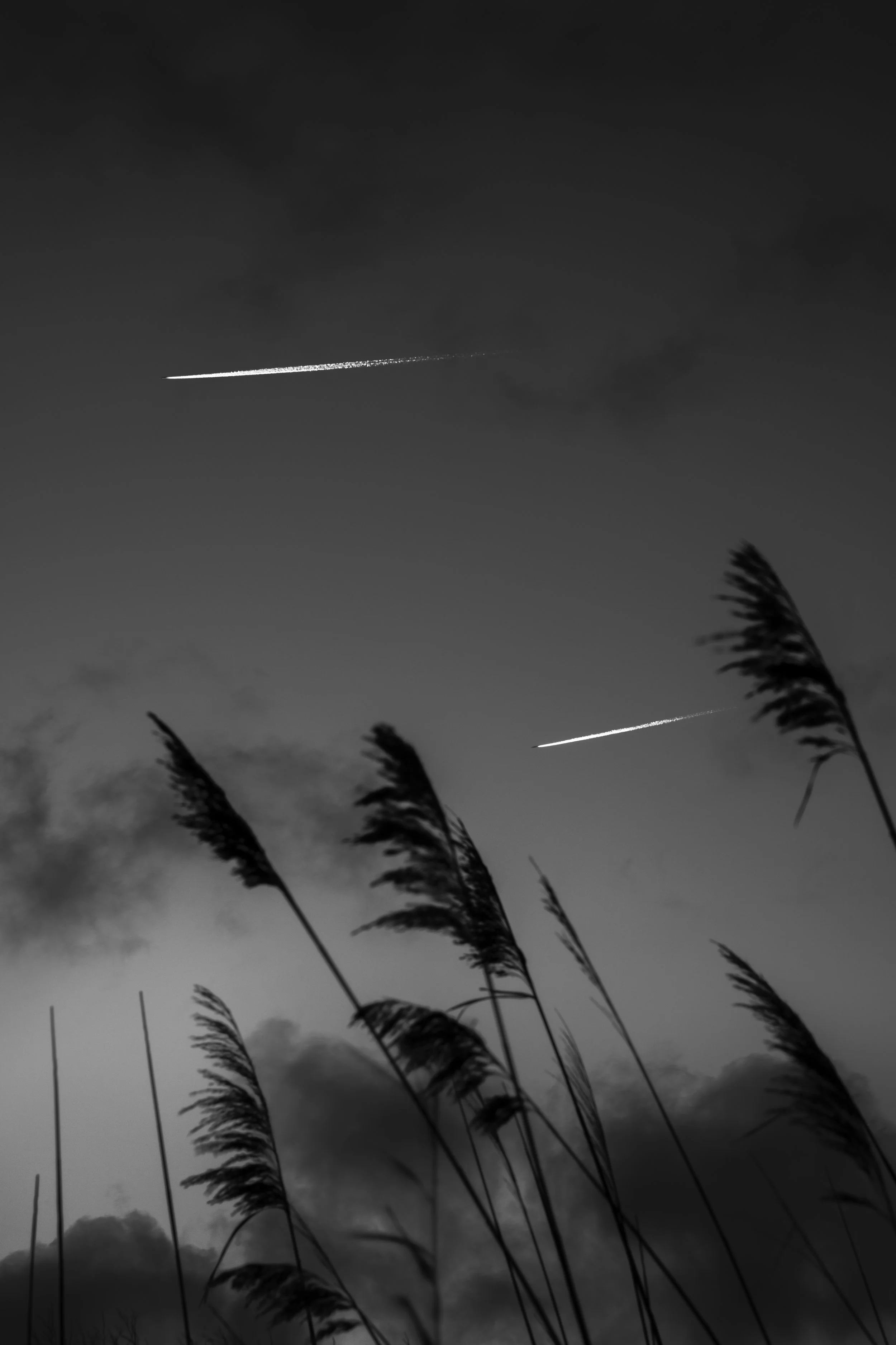 Contrails, 2018