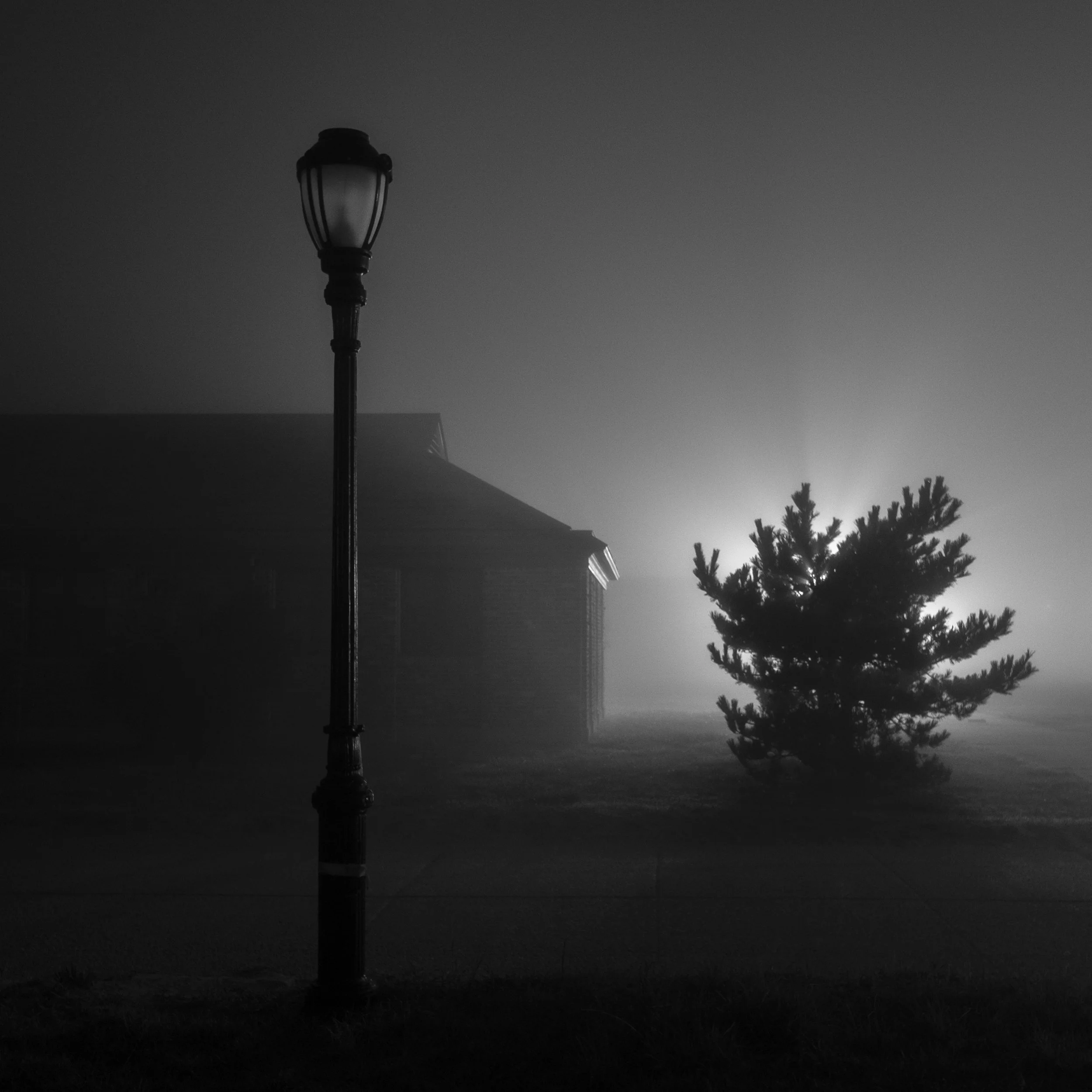 Riis Fog Study 3, 2012