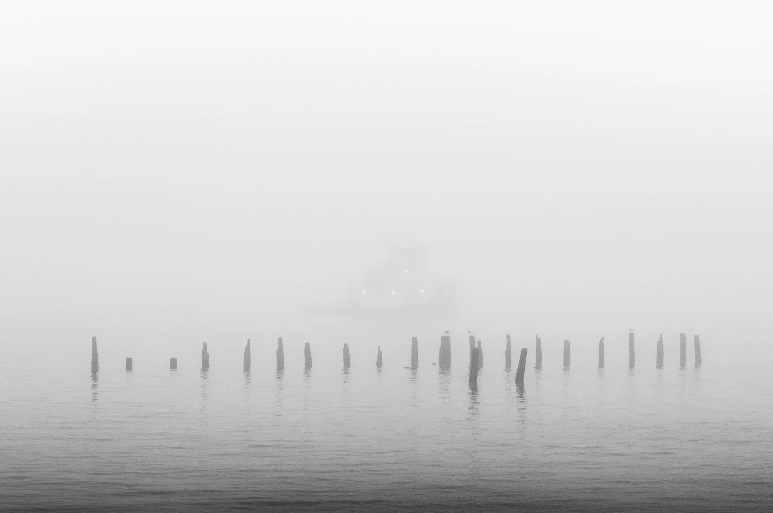 Tug in Fog, 2008