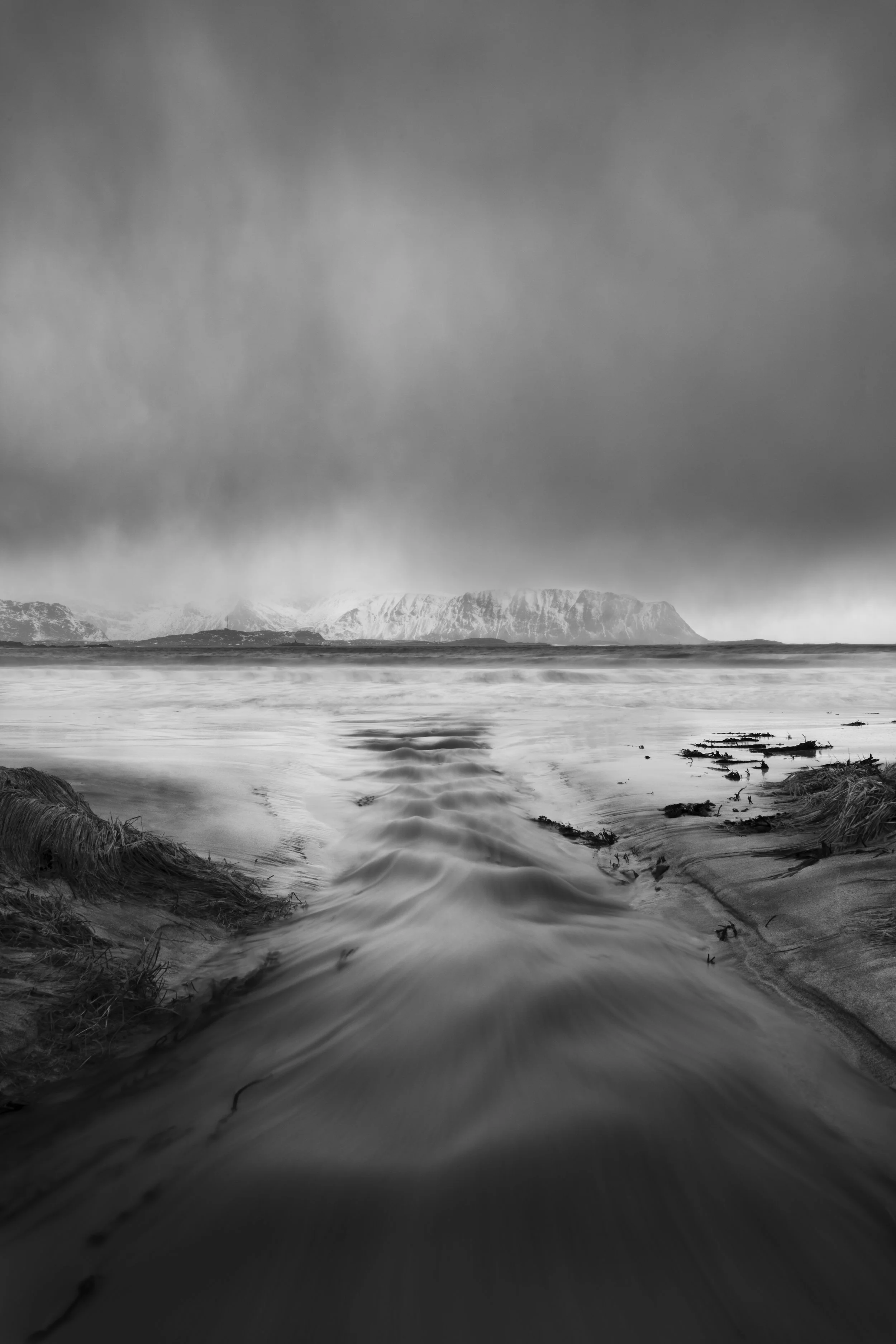 Lofoten Tidal Stream, 2020