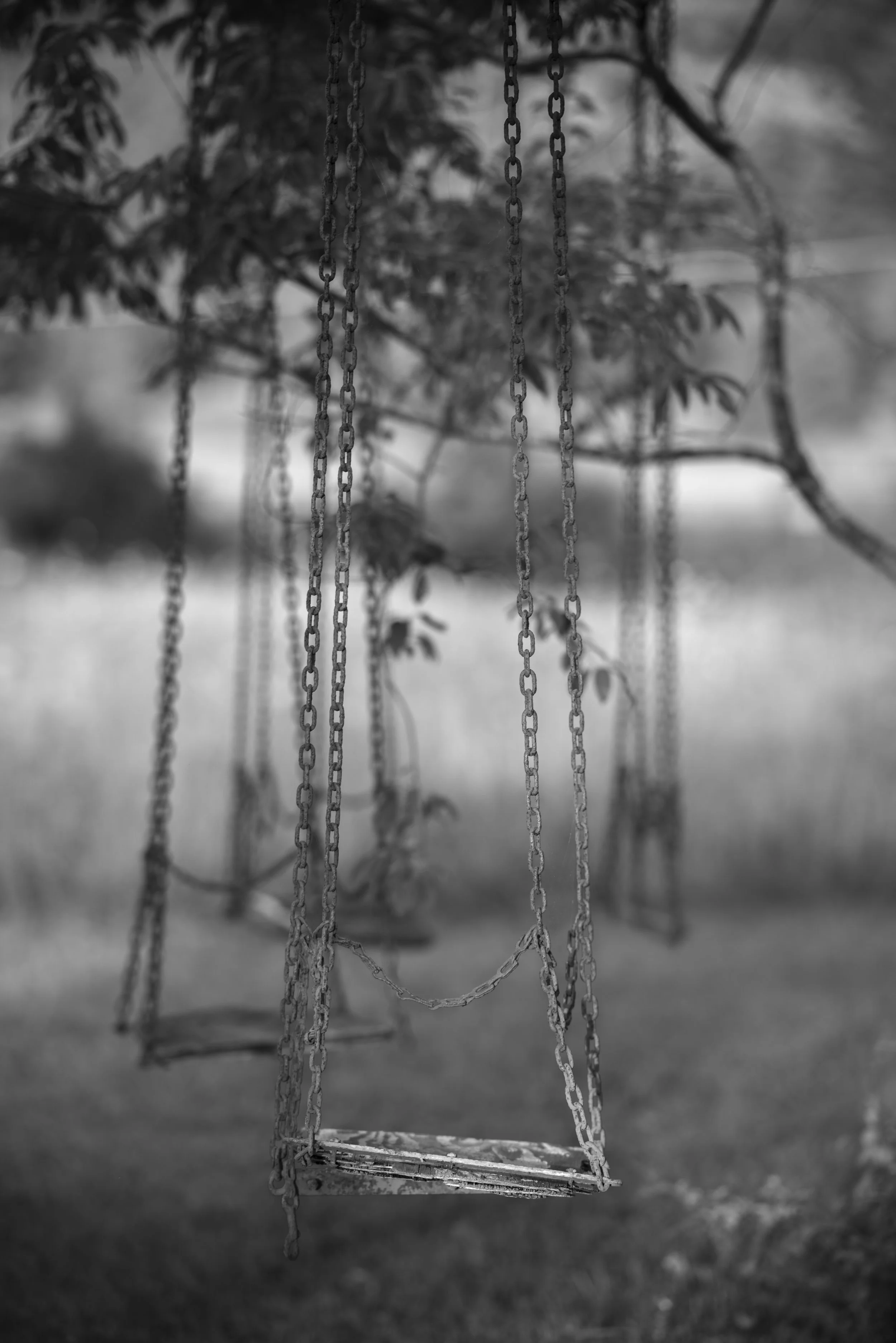 Swings, 2018
