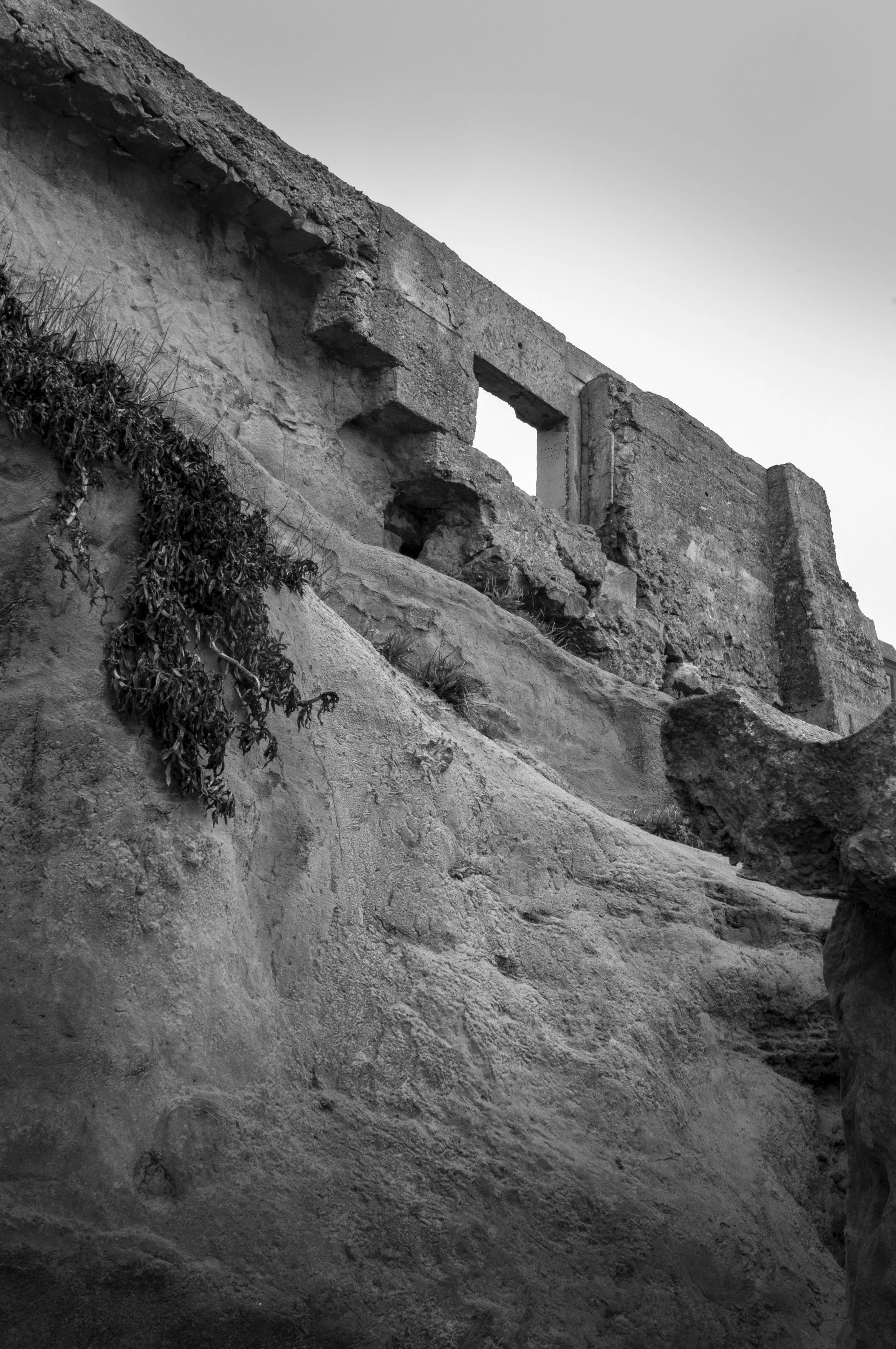 Sutro Window, 2011