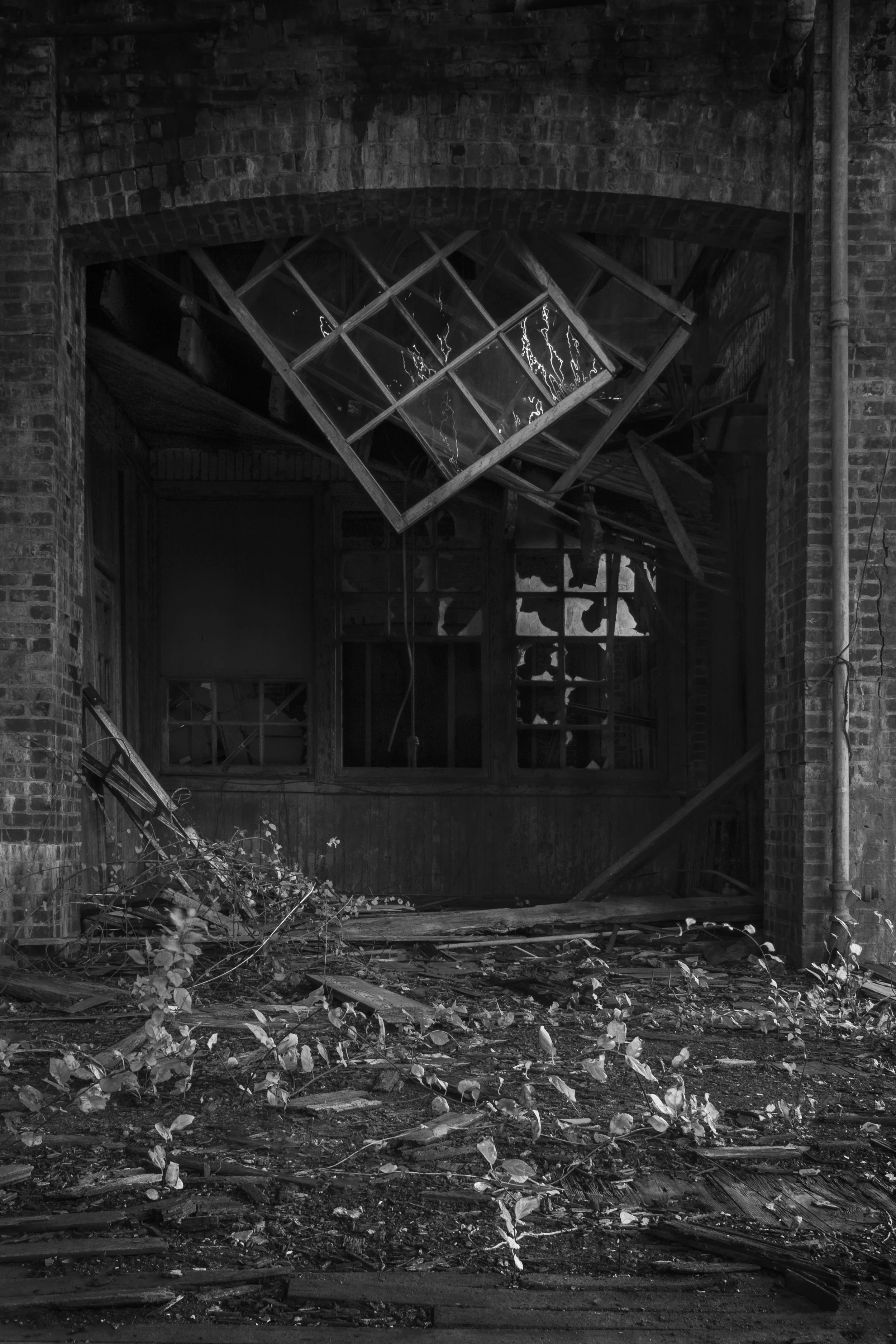 Hanging Windows, 2009