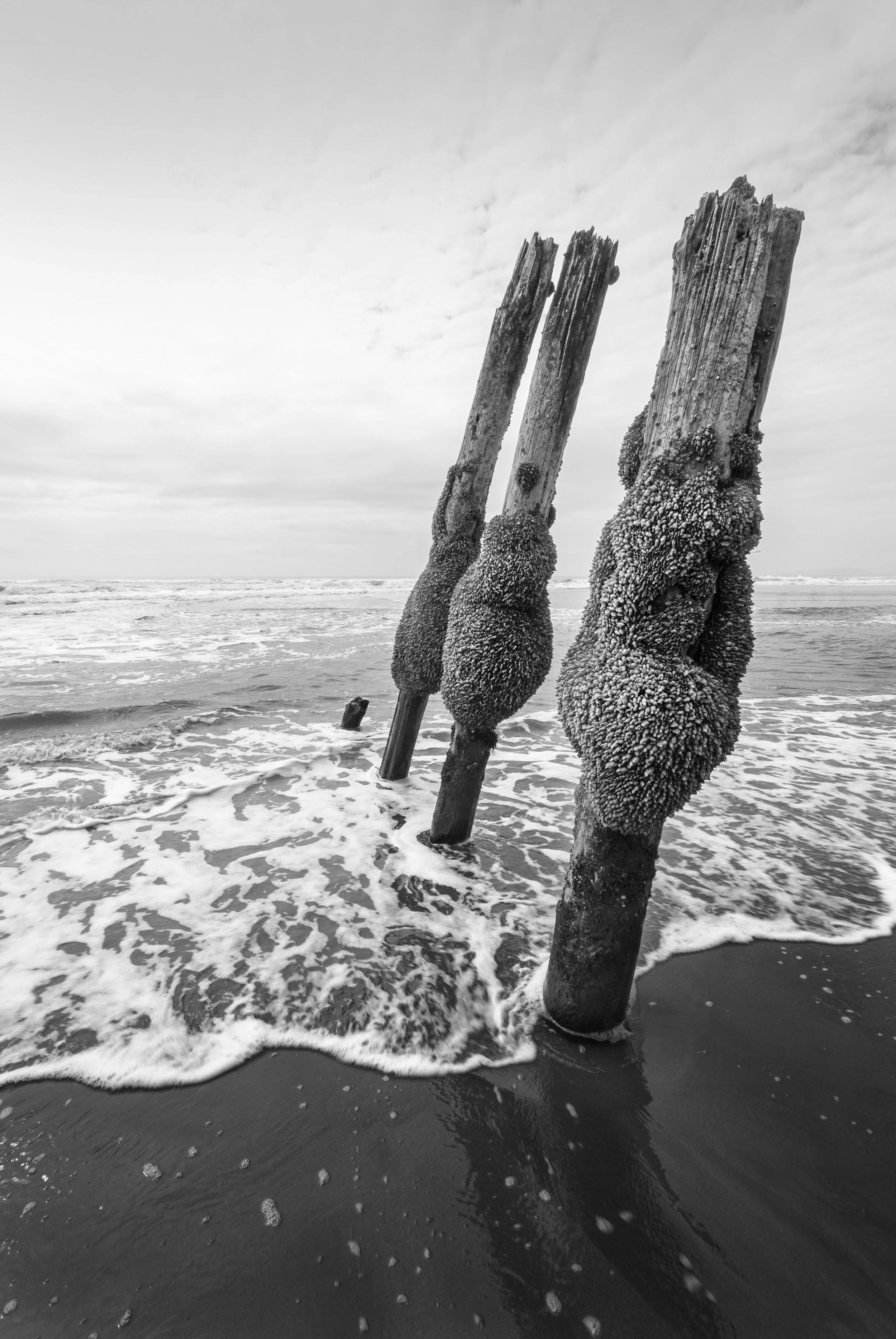Loaded Pilings, 2011