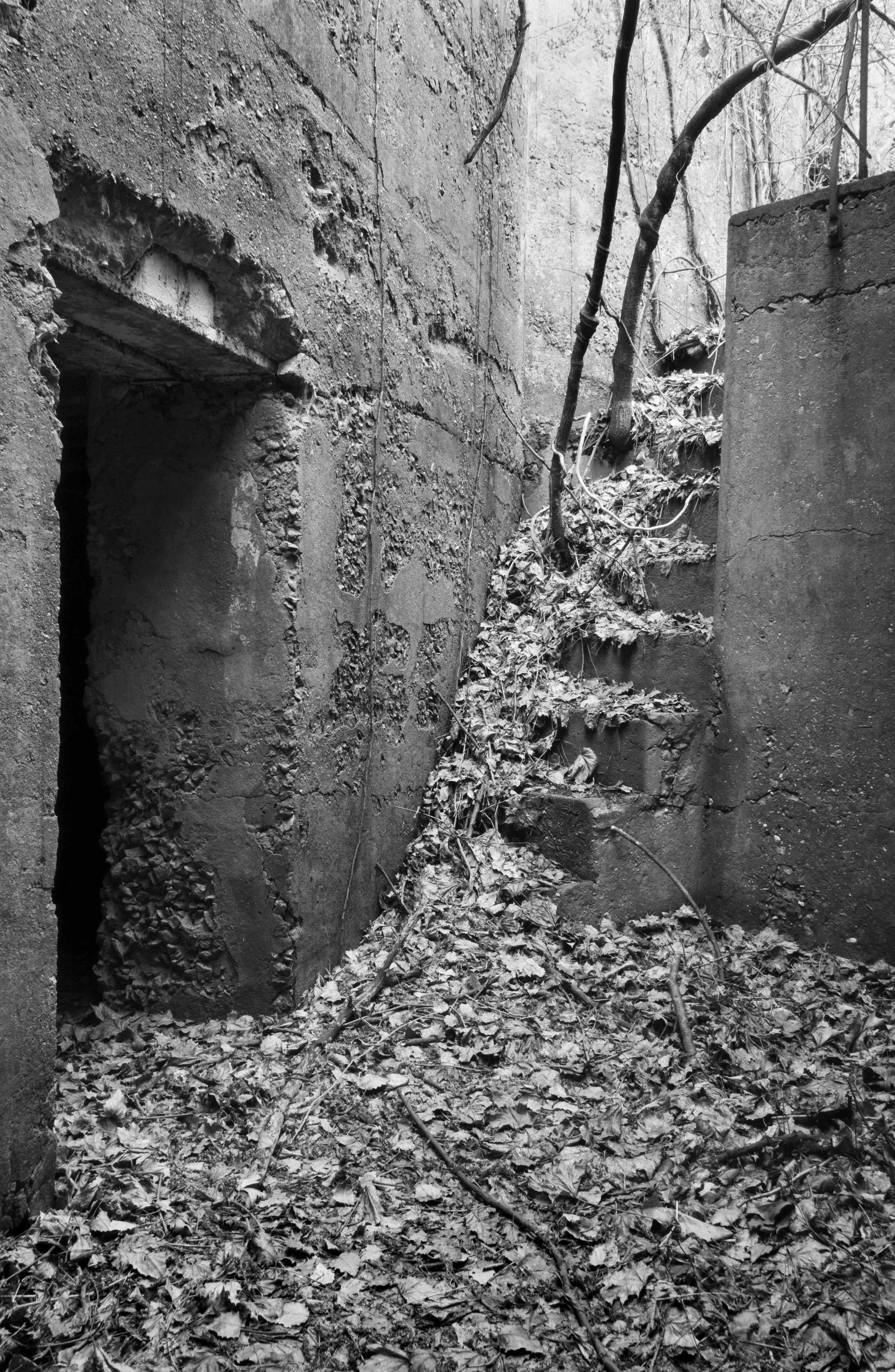 Courtyard, 2008