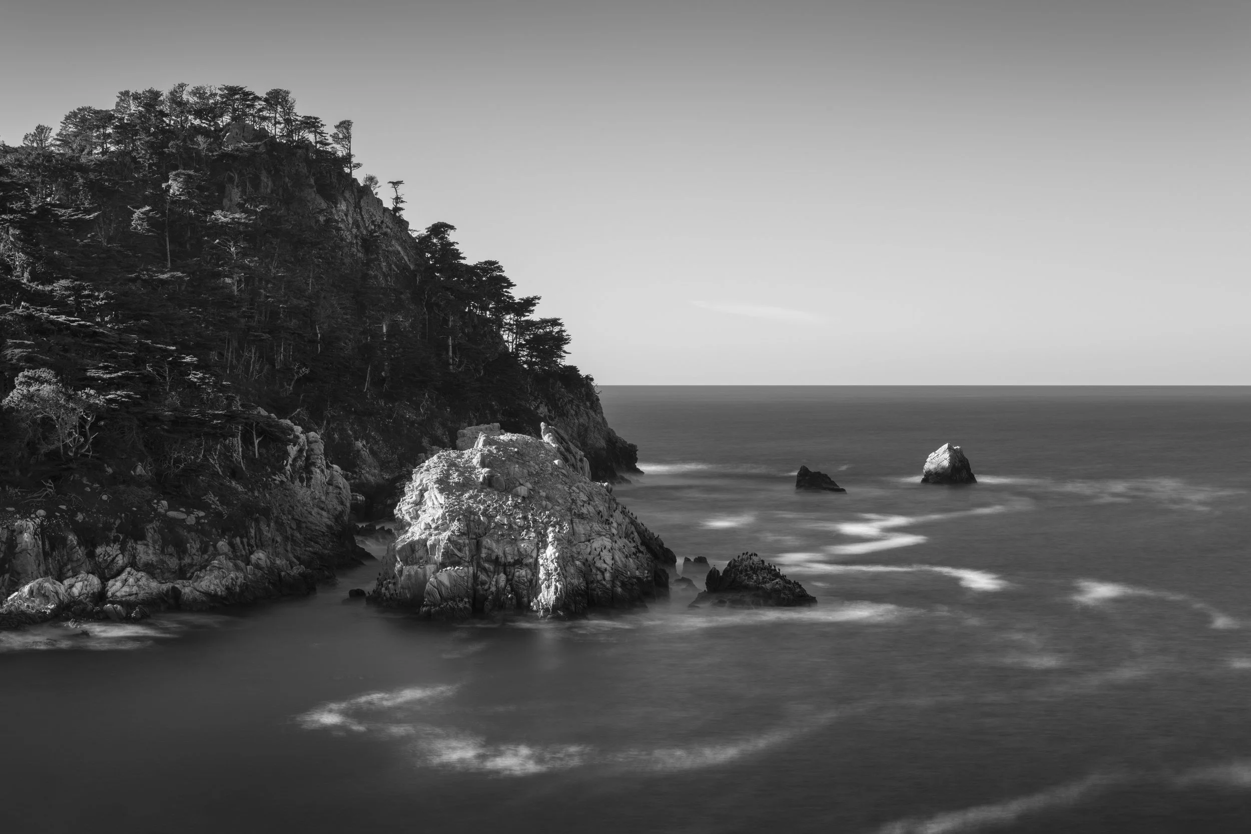 Guillemot Island, 2023