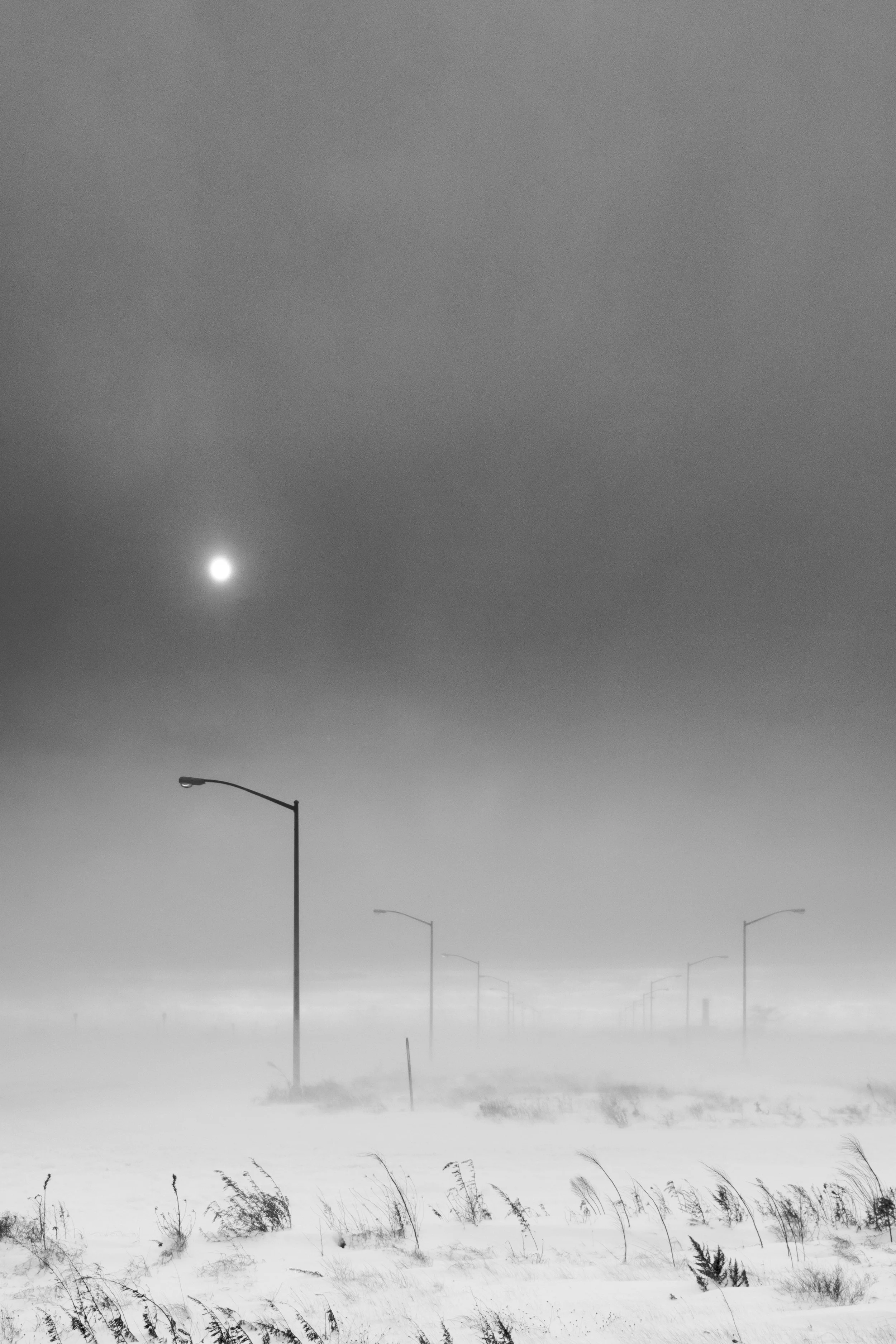 Riis Snowstorm, 2017