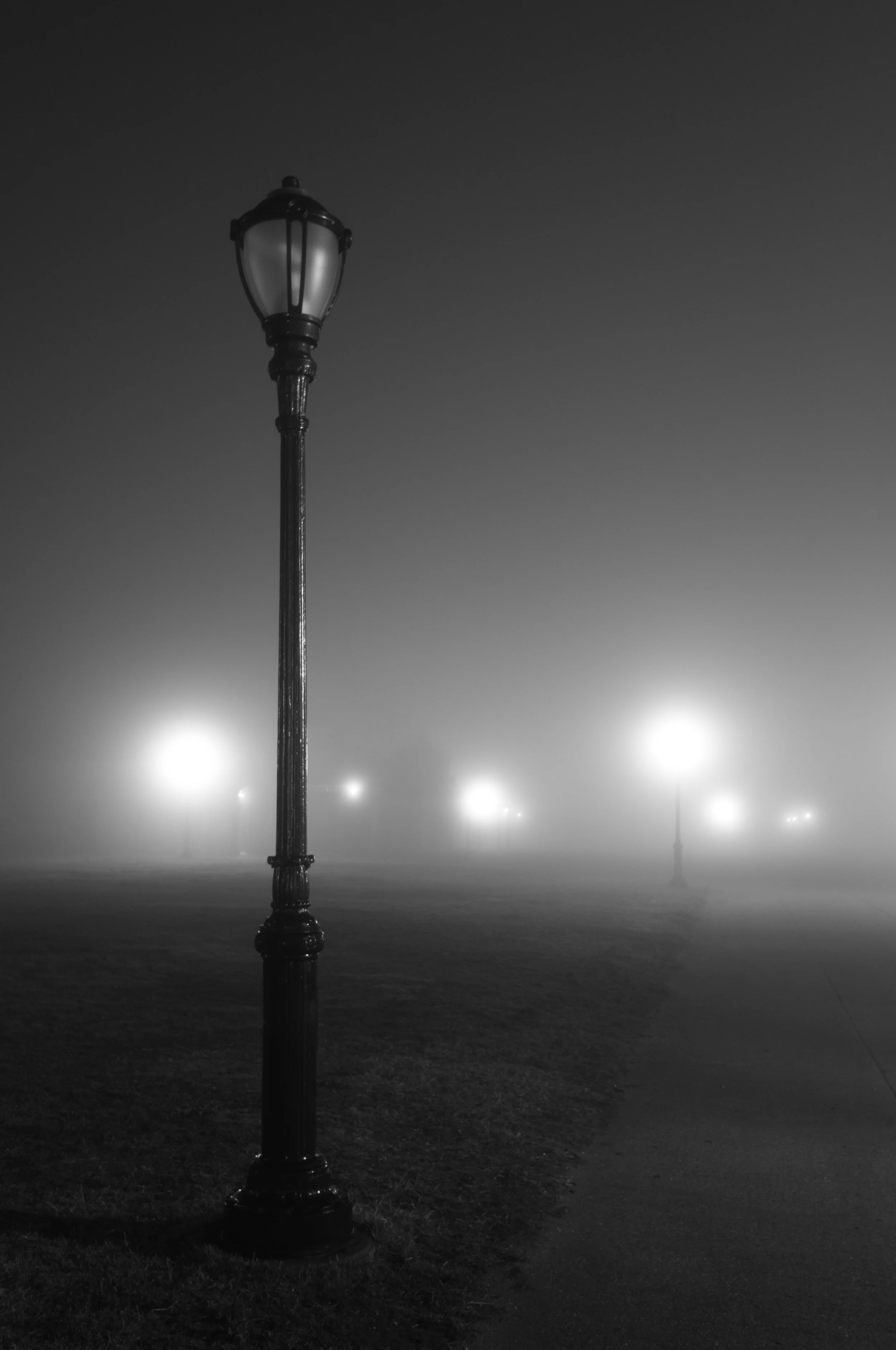Riis Fog Study 4, 2012