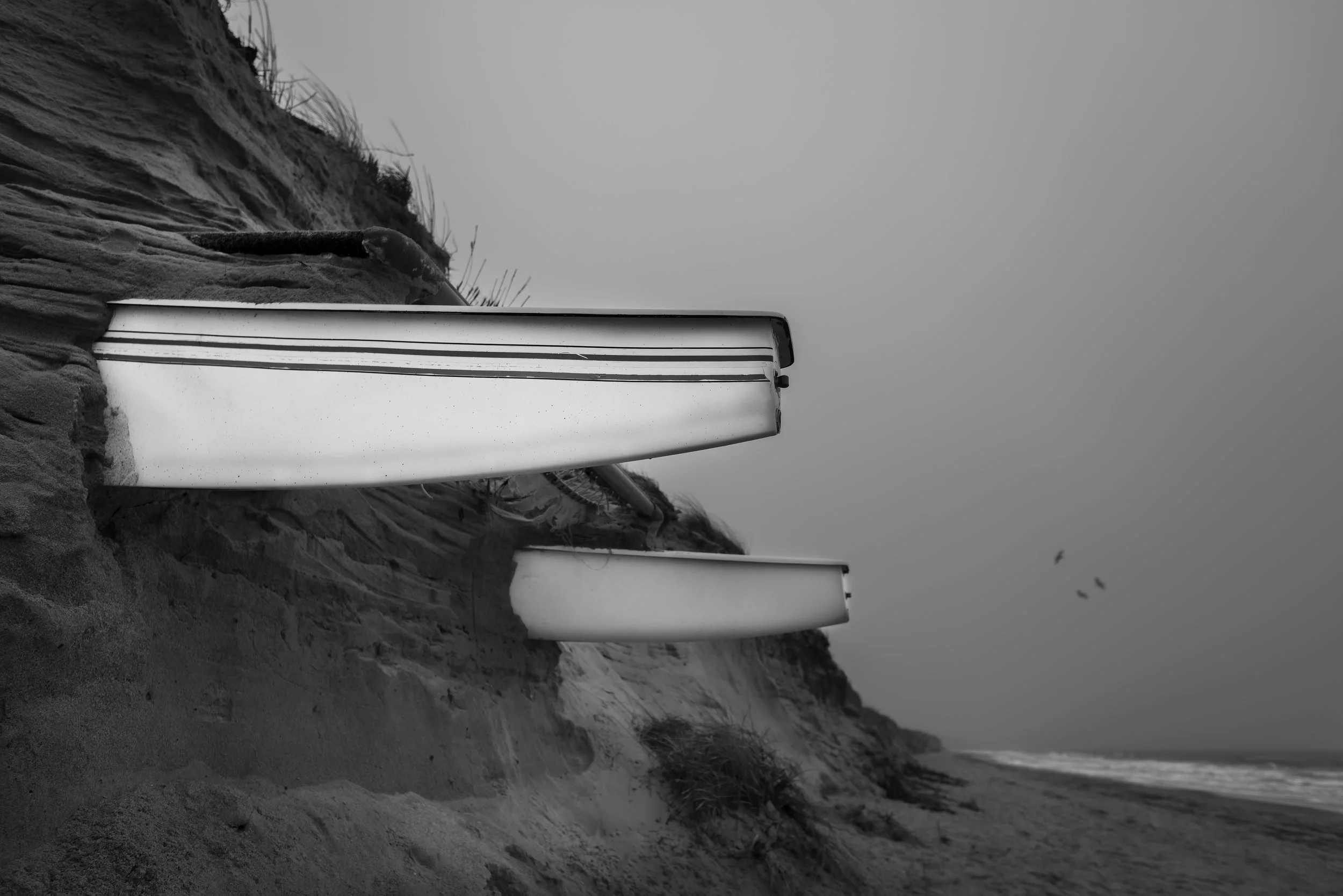 Catamaran Strata Study 3, 2021