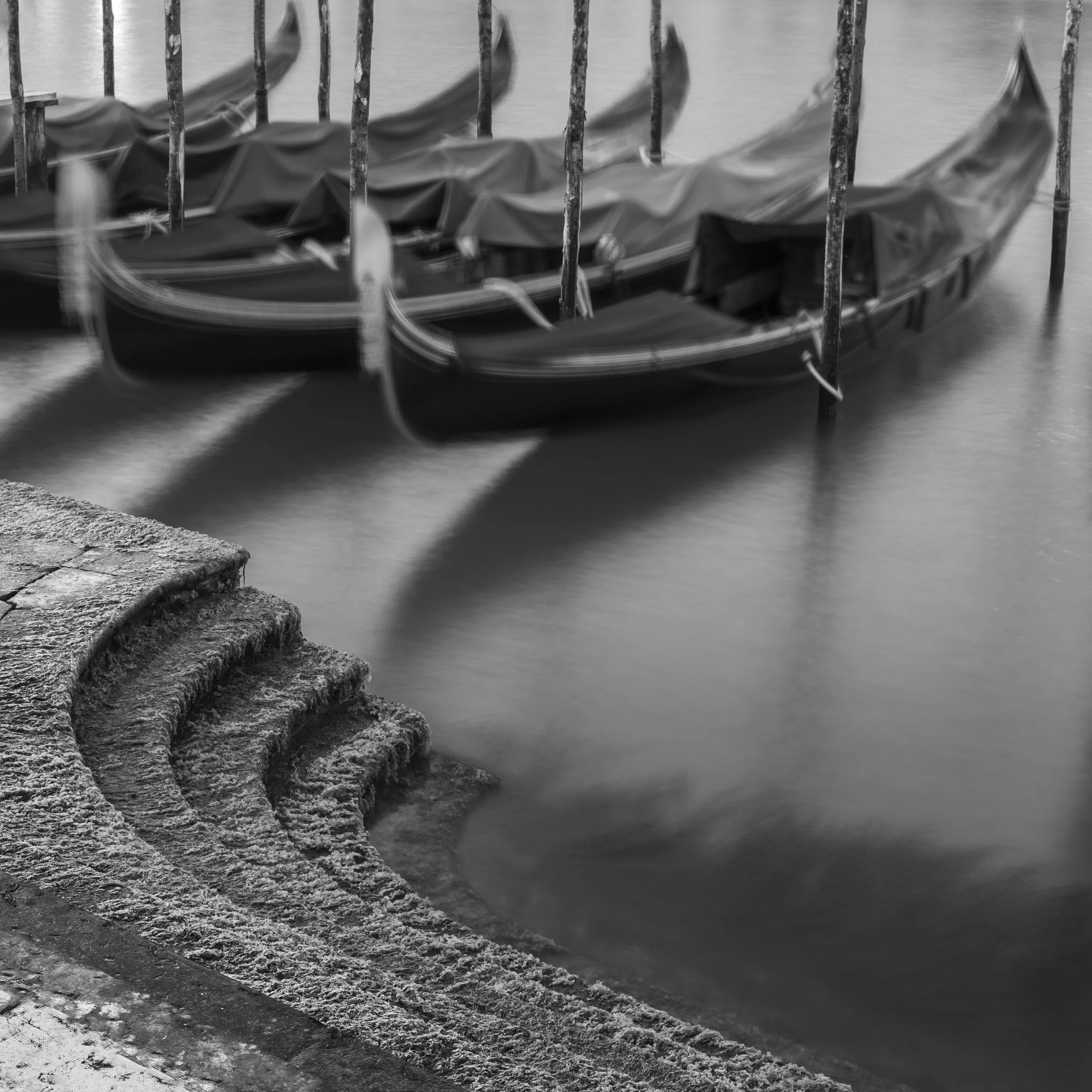 The Creeping Canal, 2023