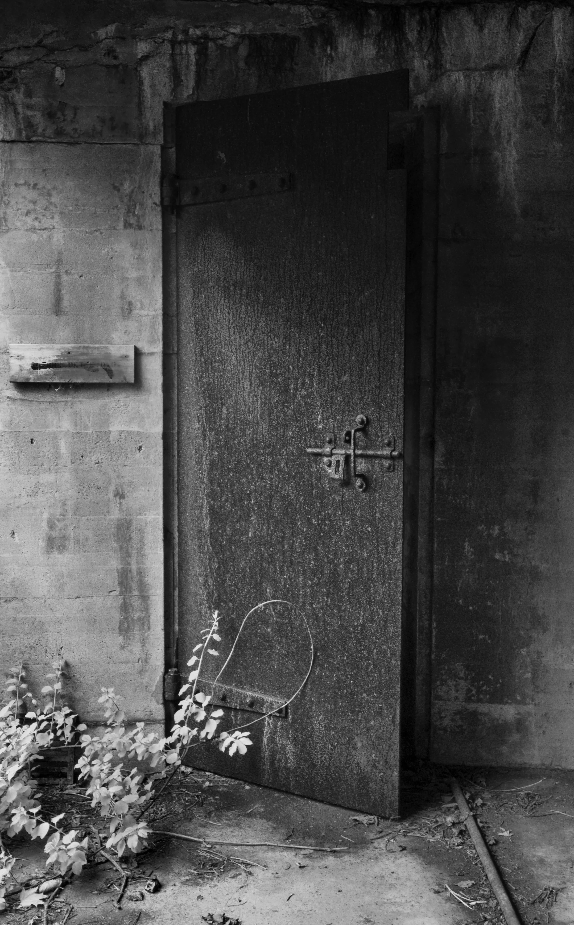 Rusty Door, 2008