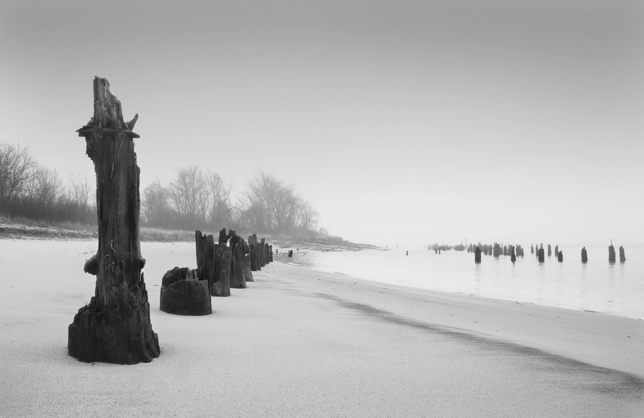 Receding Pilings, 2008