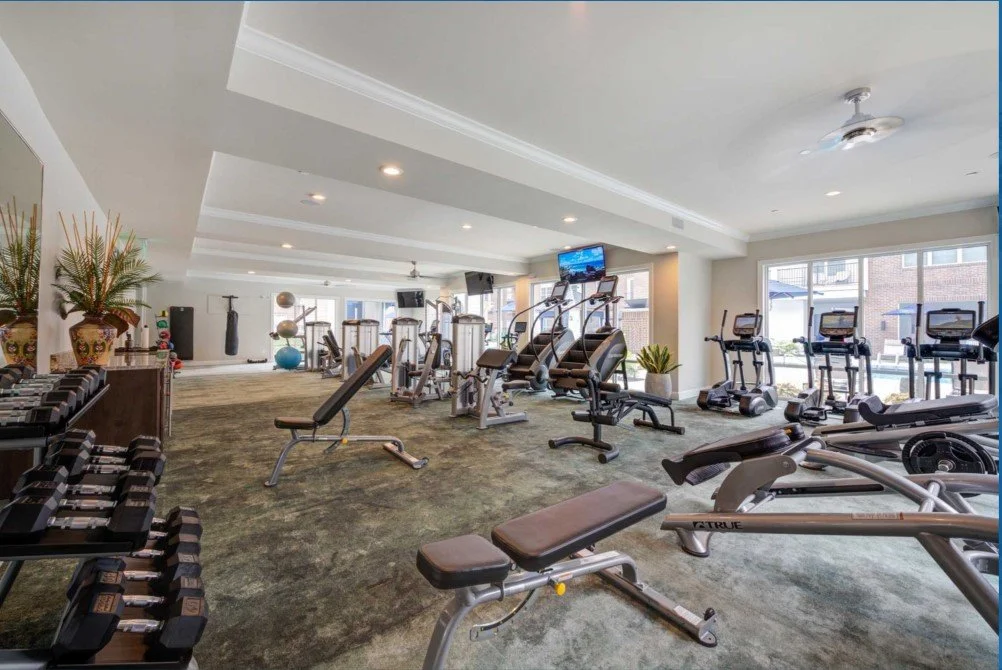 HH8 Gym snip.jpg